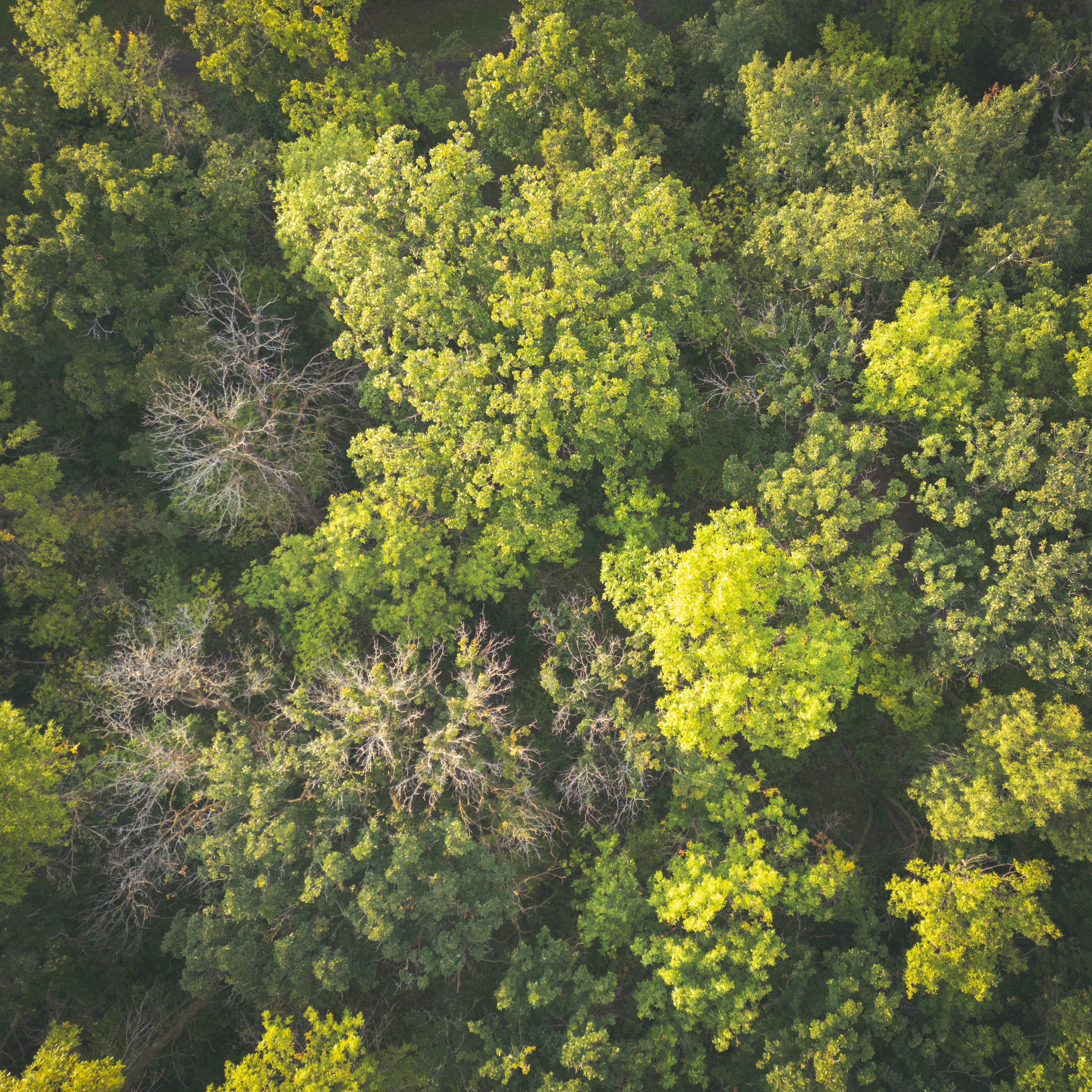 Photo by aamirbilalm