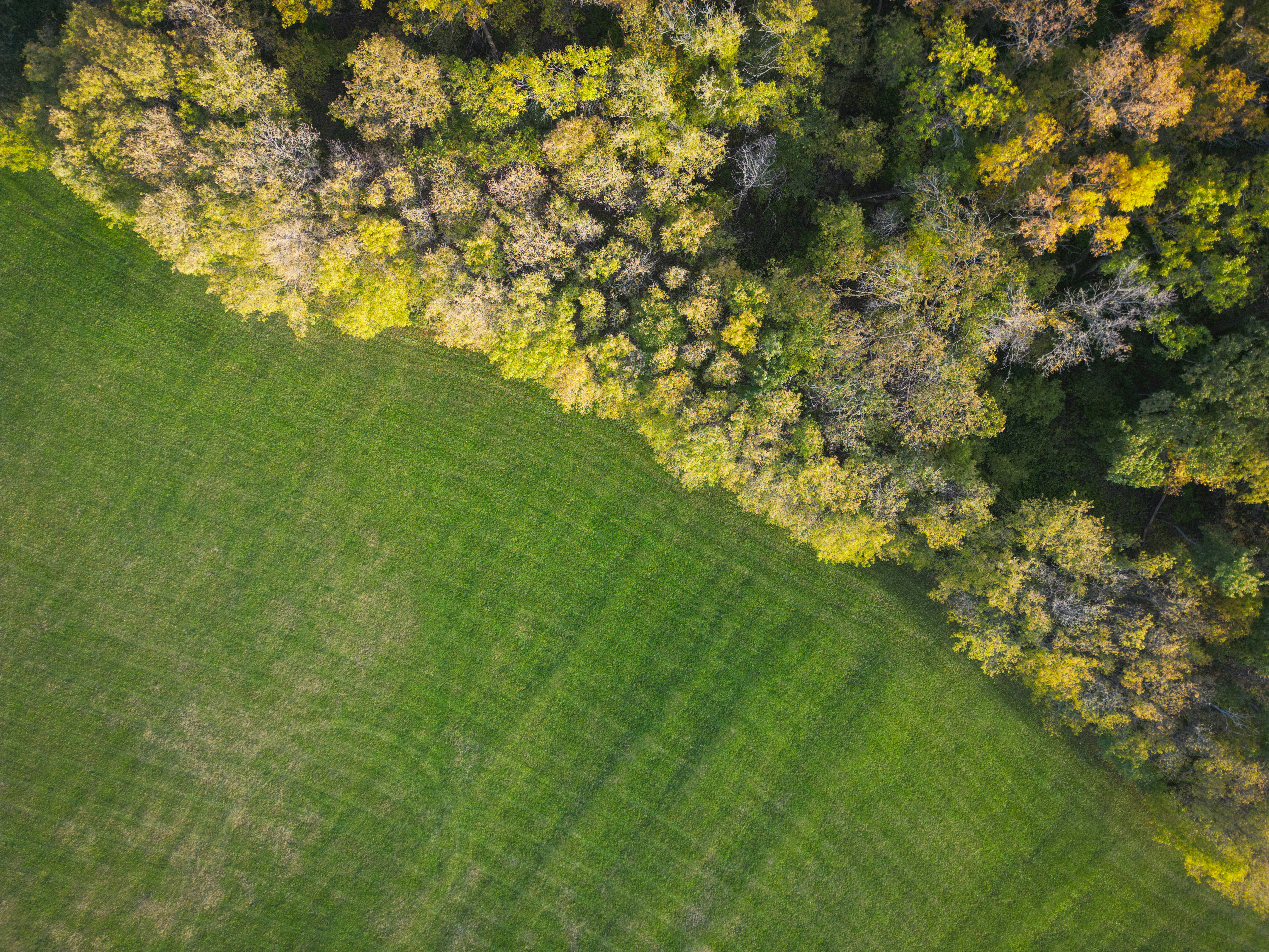 Photo by aamirbilalm