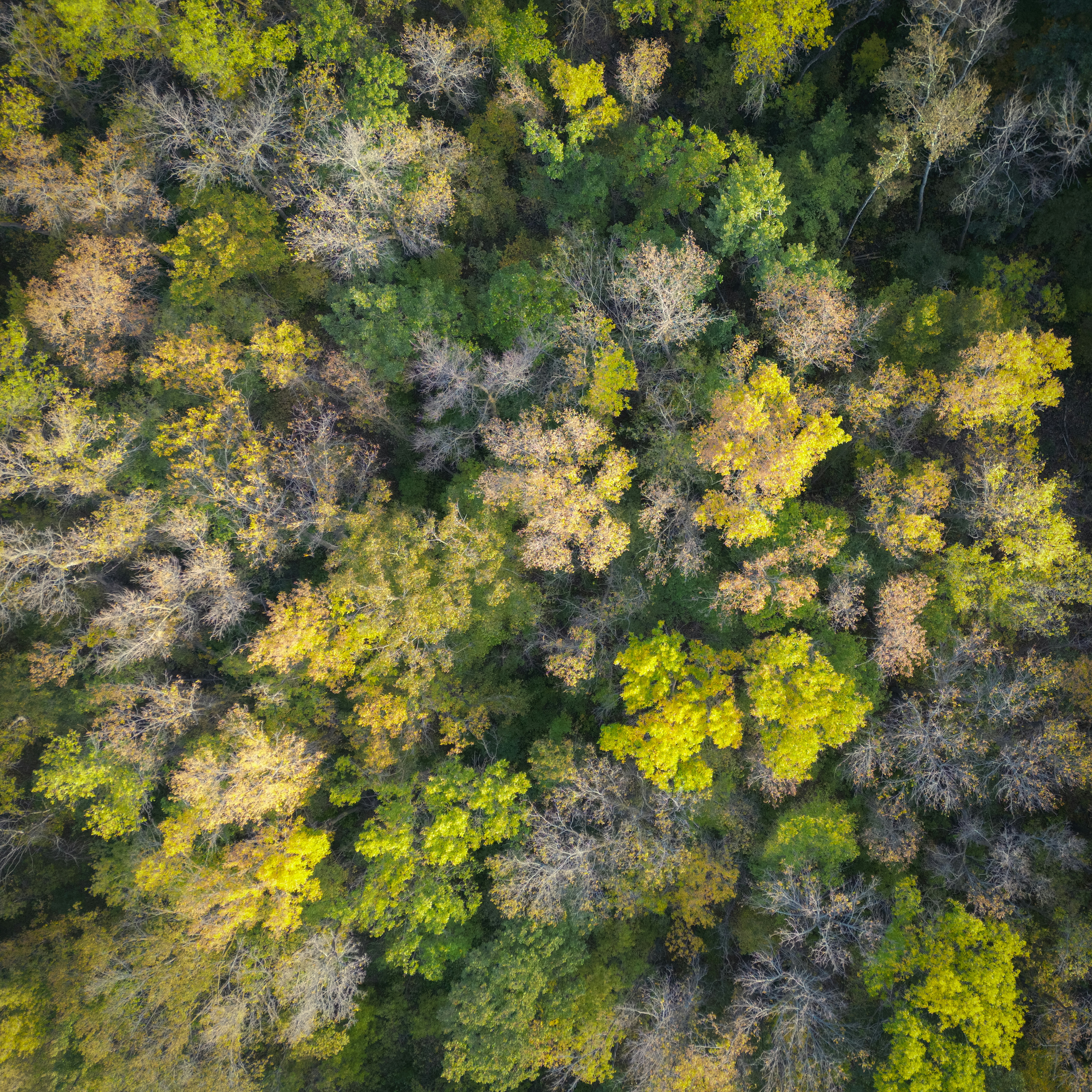 Photo by aamirbilalm