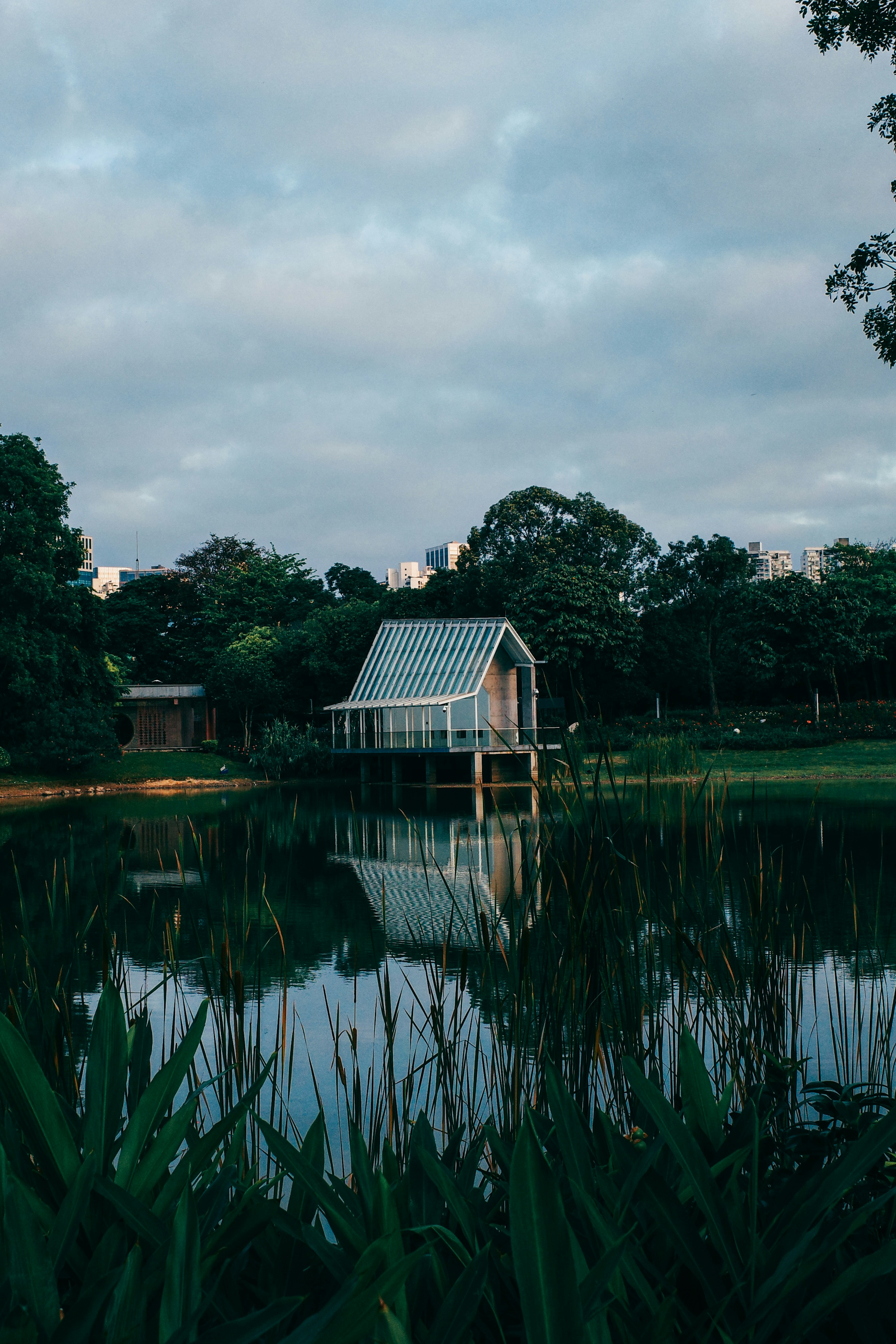 Photo by dickenslin76