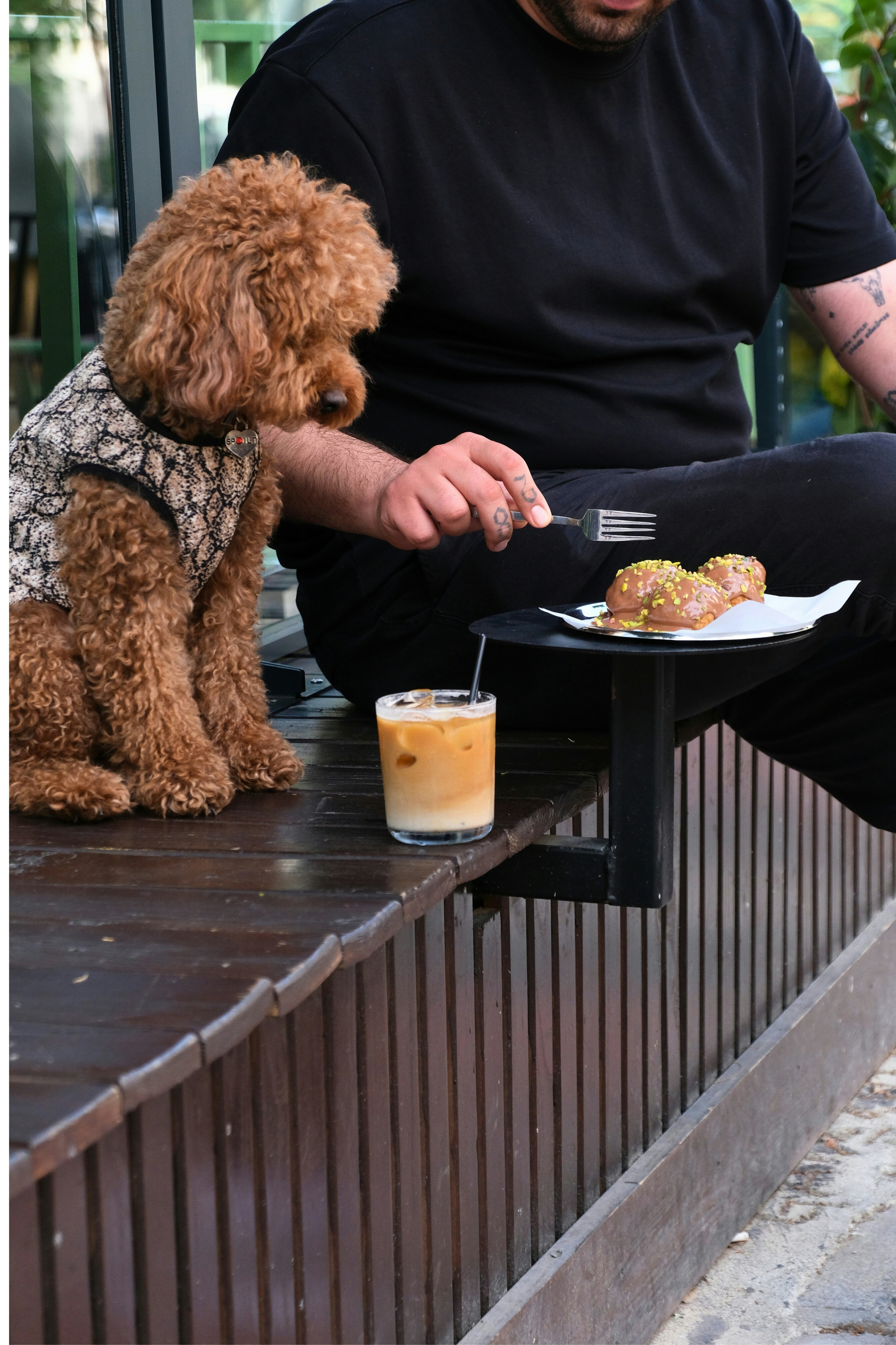 A man and his dog enjoying brunch together.