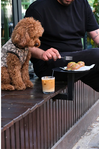 A man and his dog enjoy brunch together.