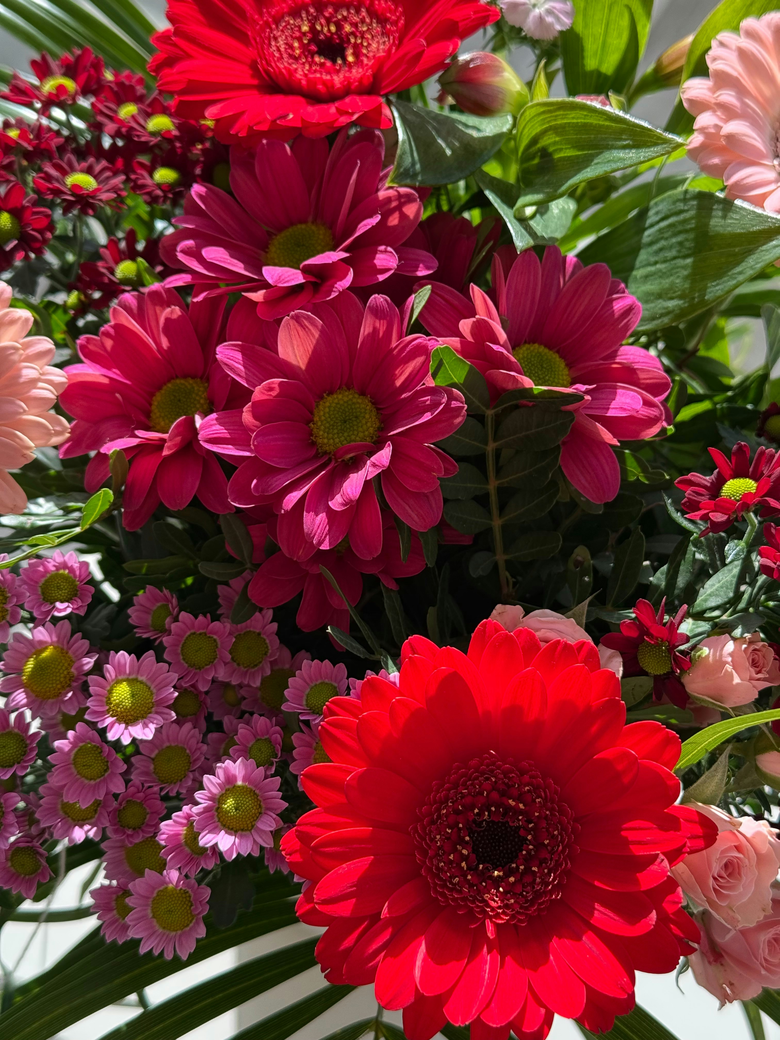 Photo by photosfromhome