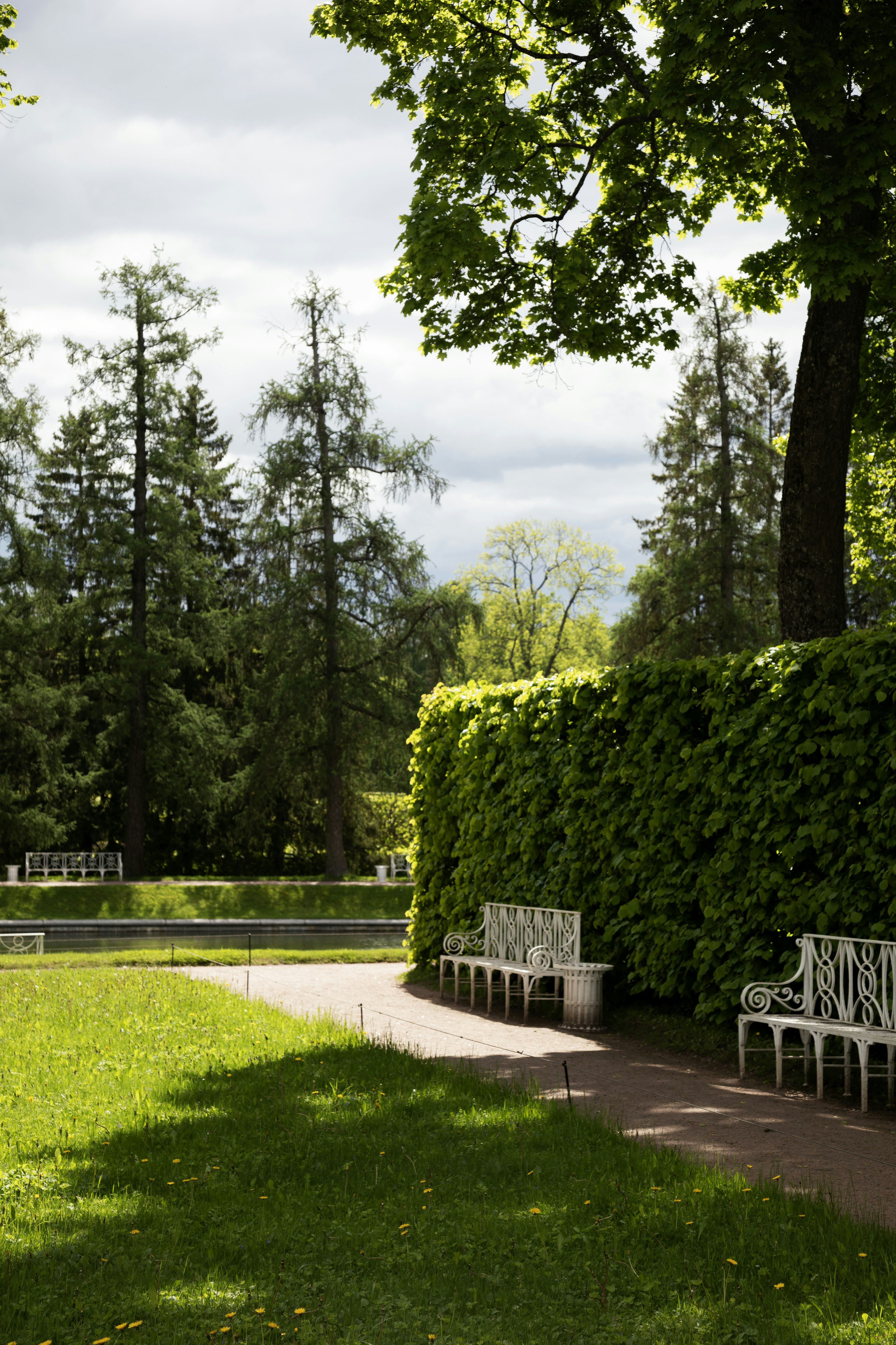 Sendero escénico del jardín con bancos y exuberante vegetación.