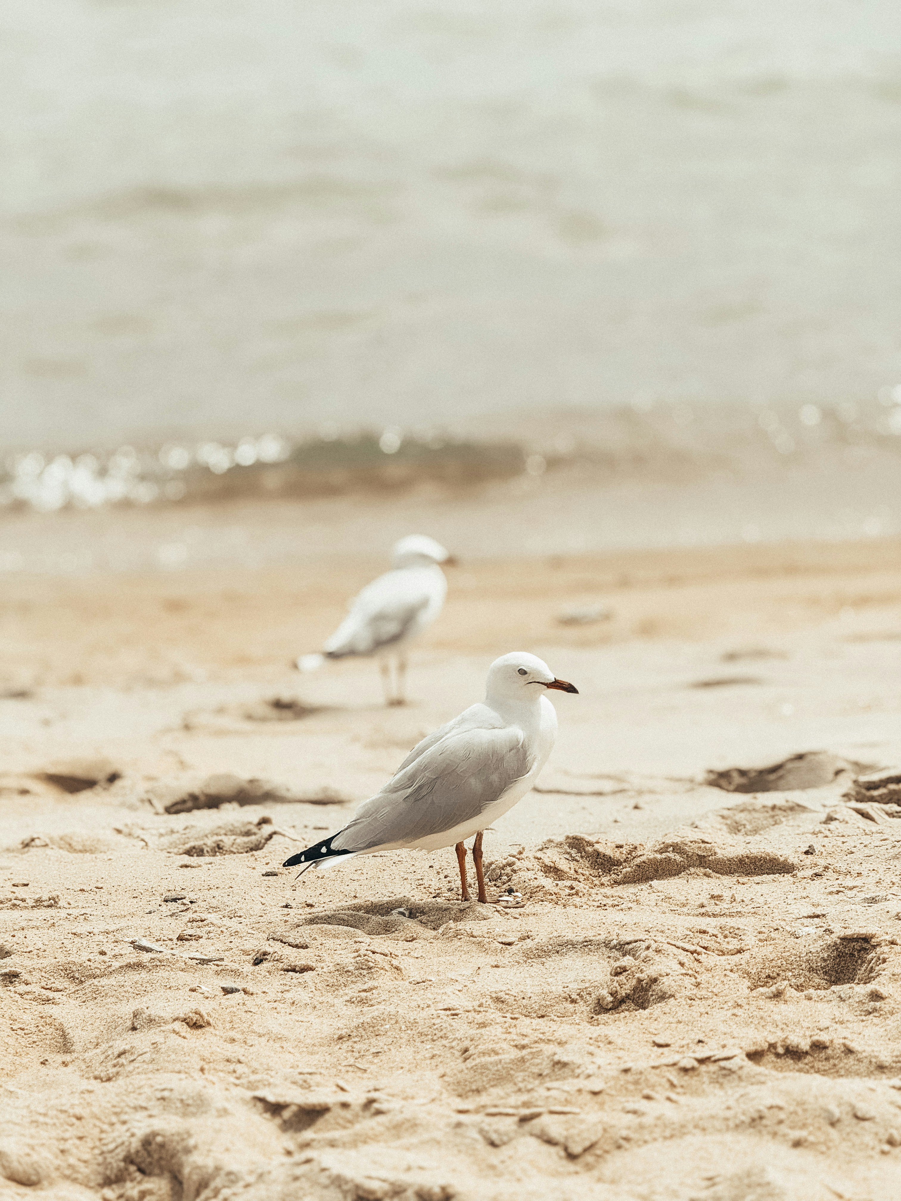 Photo by aasfarian