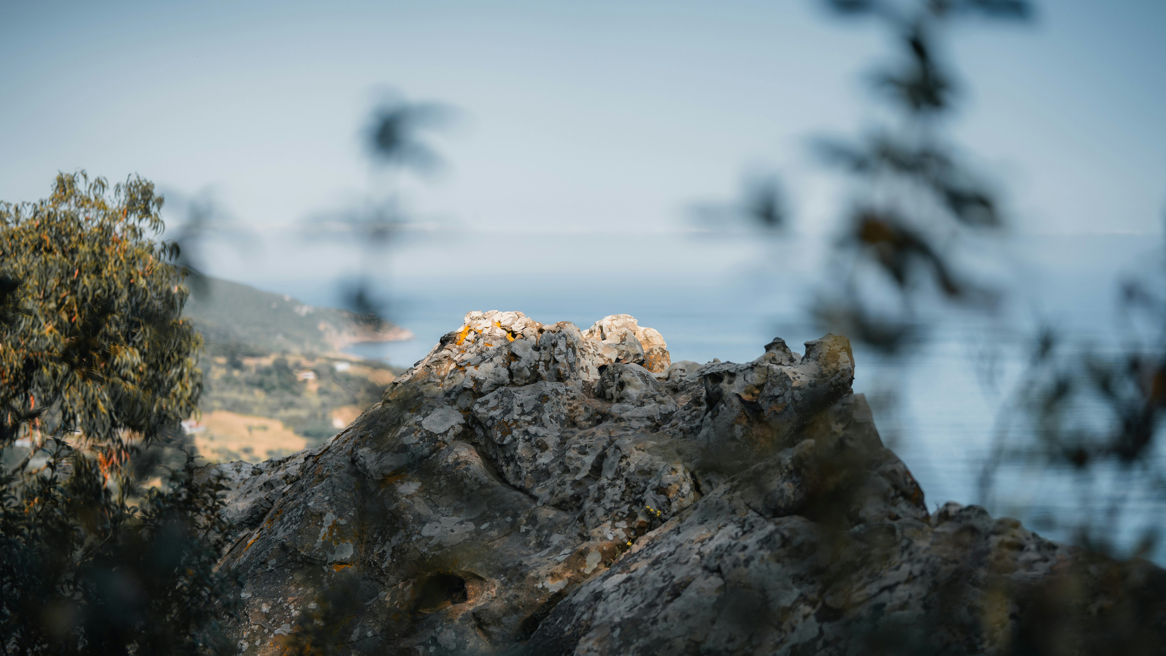 Photo by theemanofoth