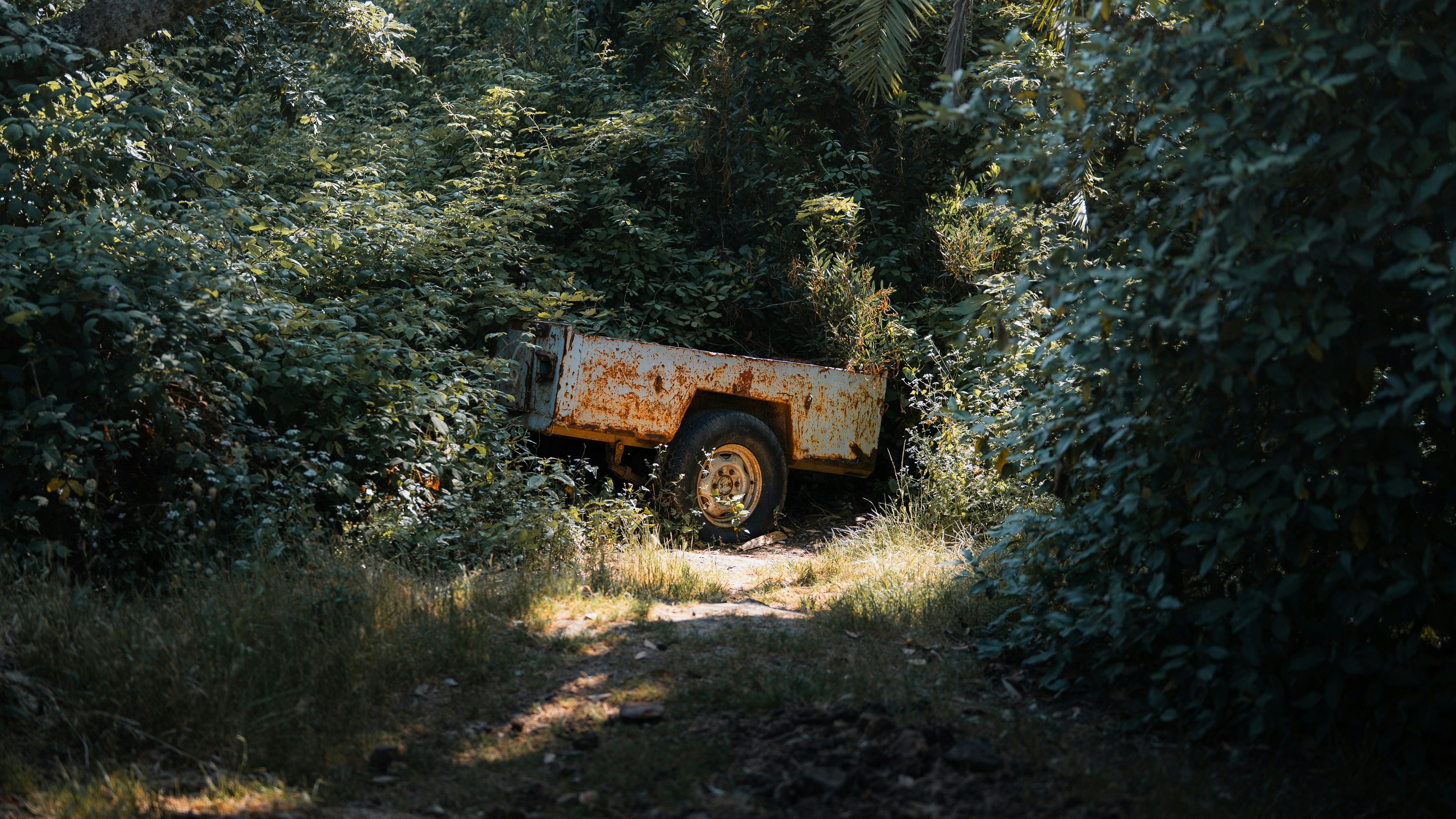 An abandoned trailer rests in the overgrown forest.