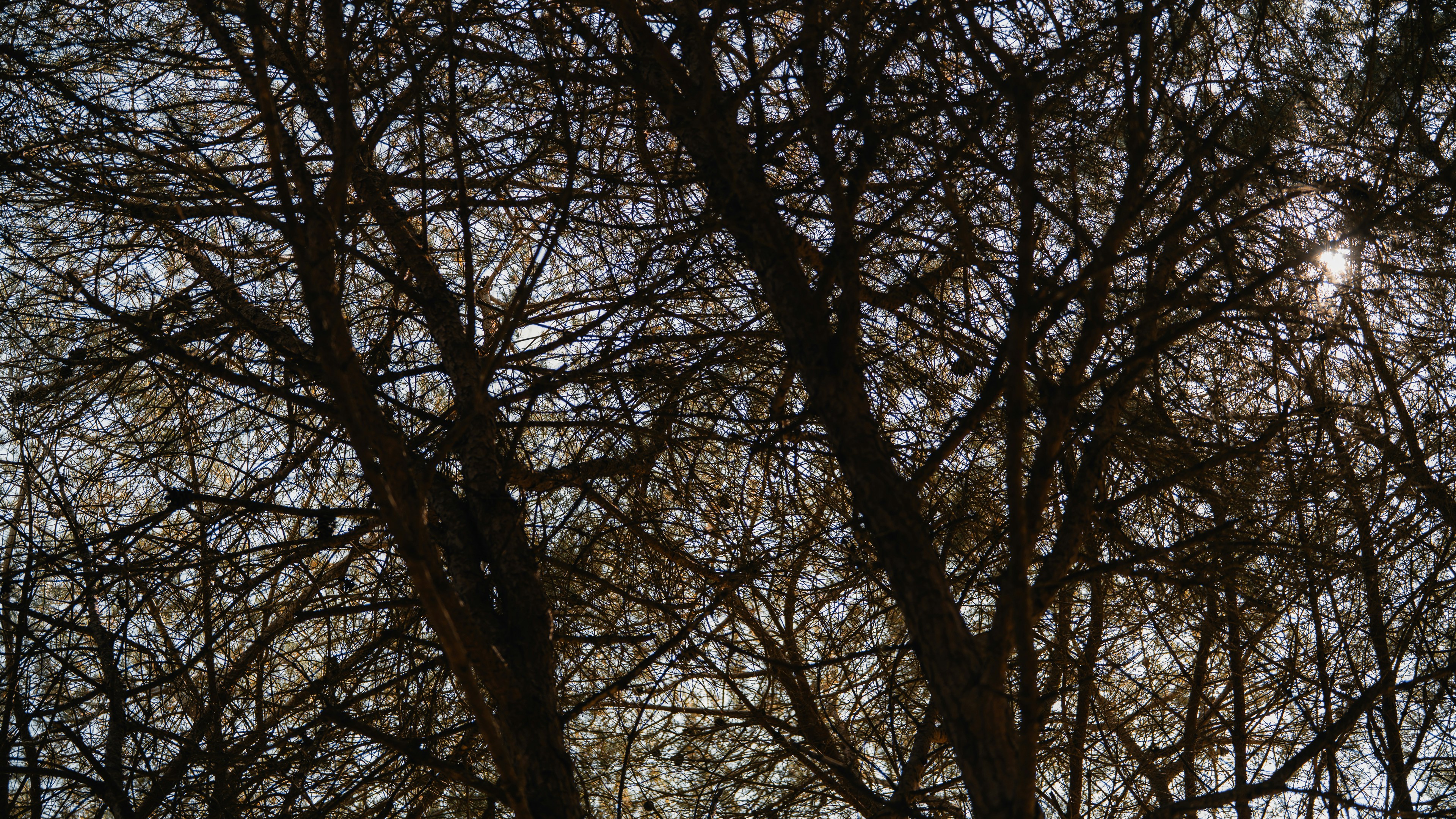 Photo by theemanofoth