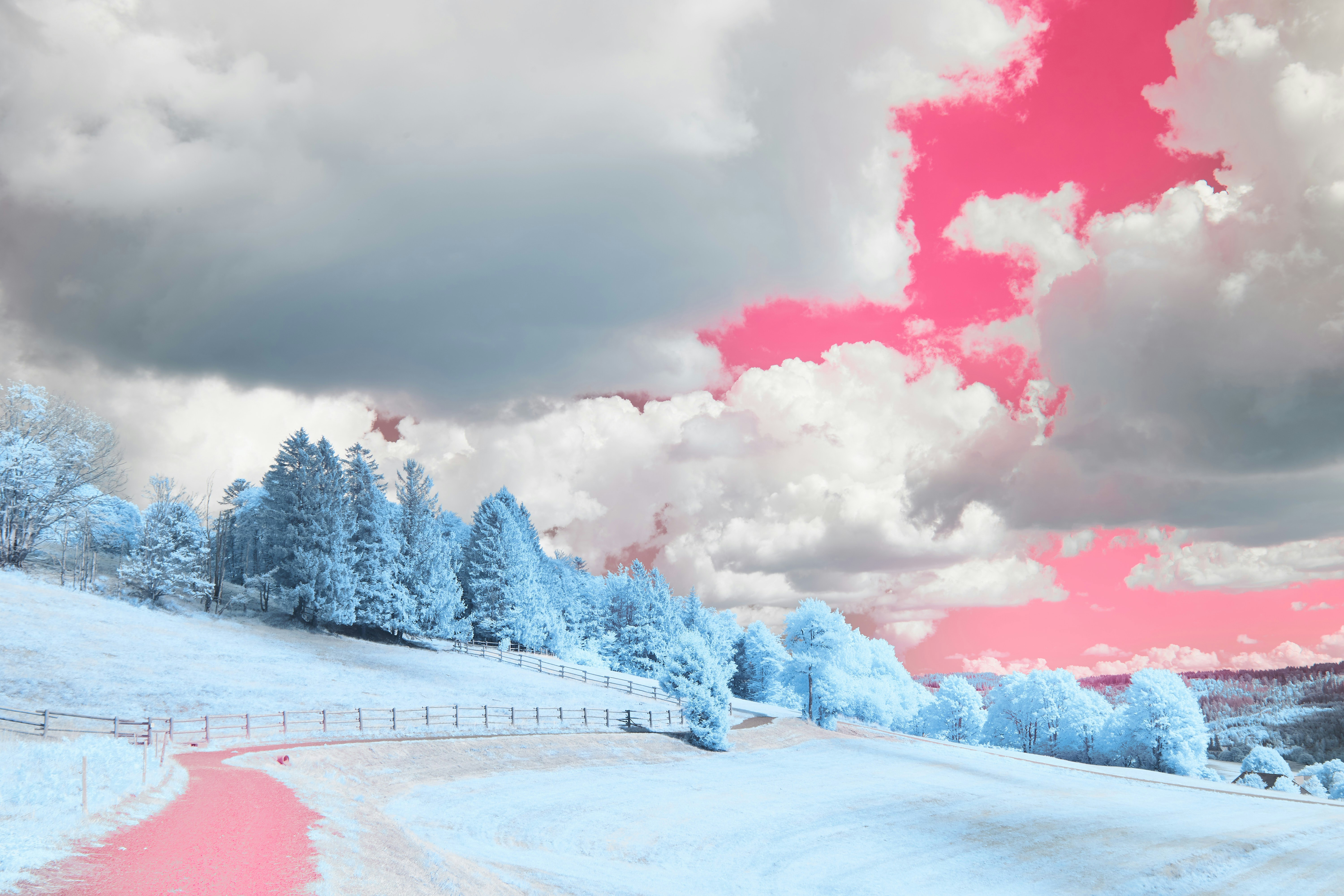 Photo by wolfgang_hasselmann