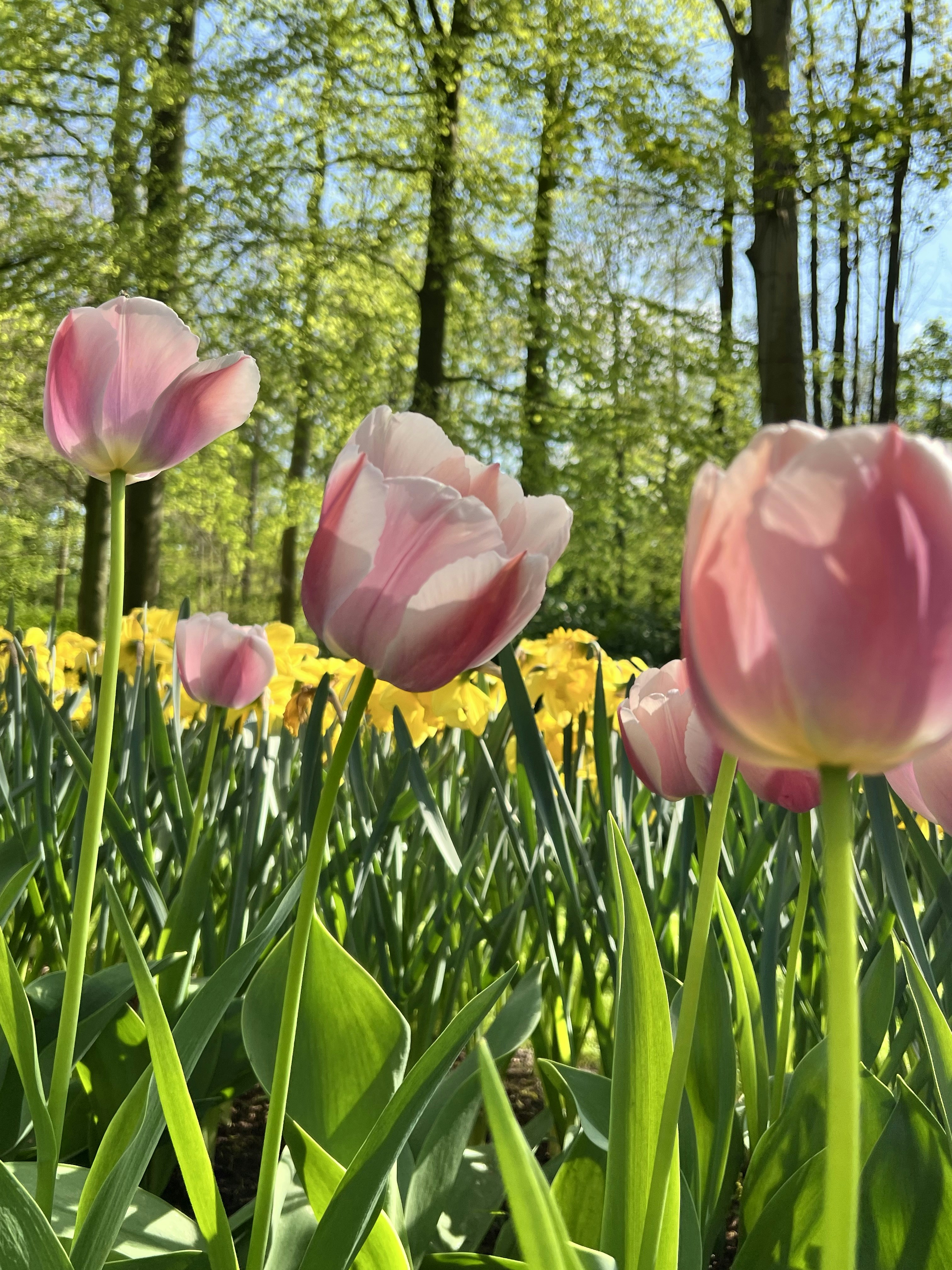 Photo by angietanglobetrottingwithangie