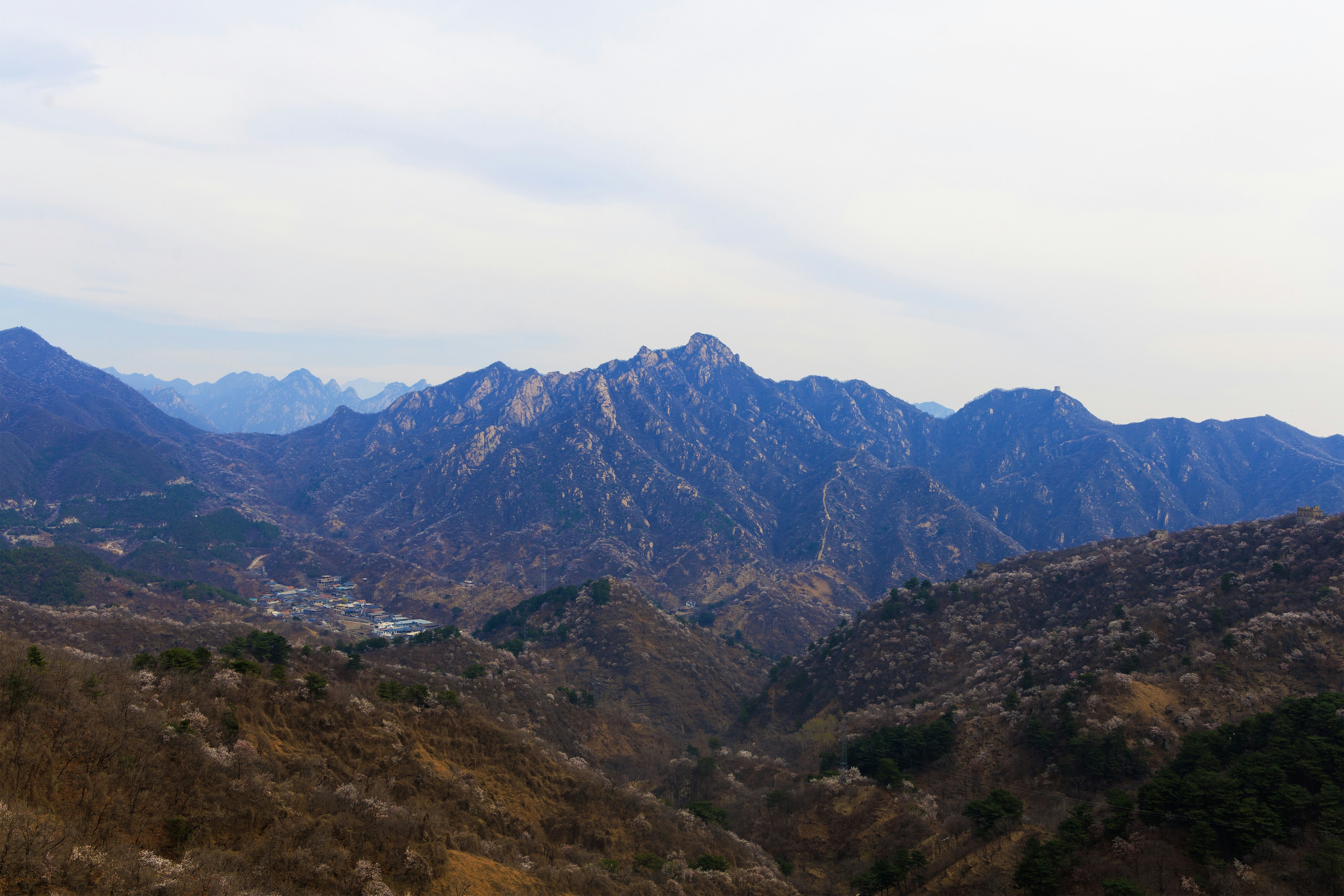 Photo by timothynblake