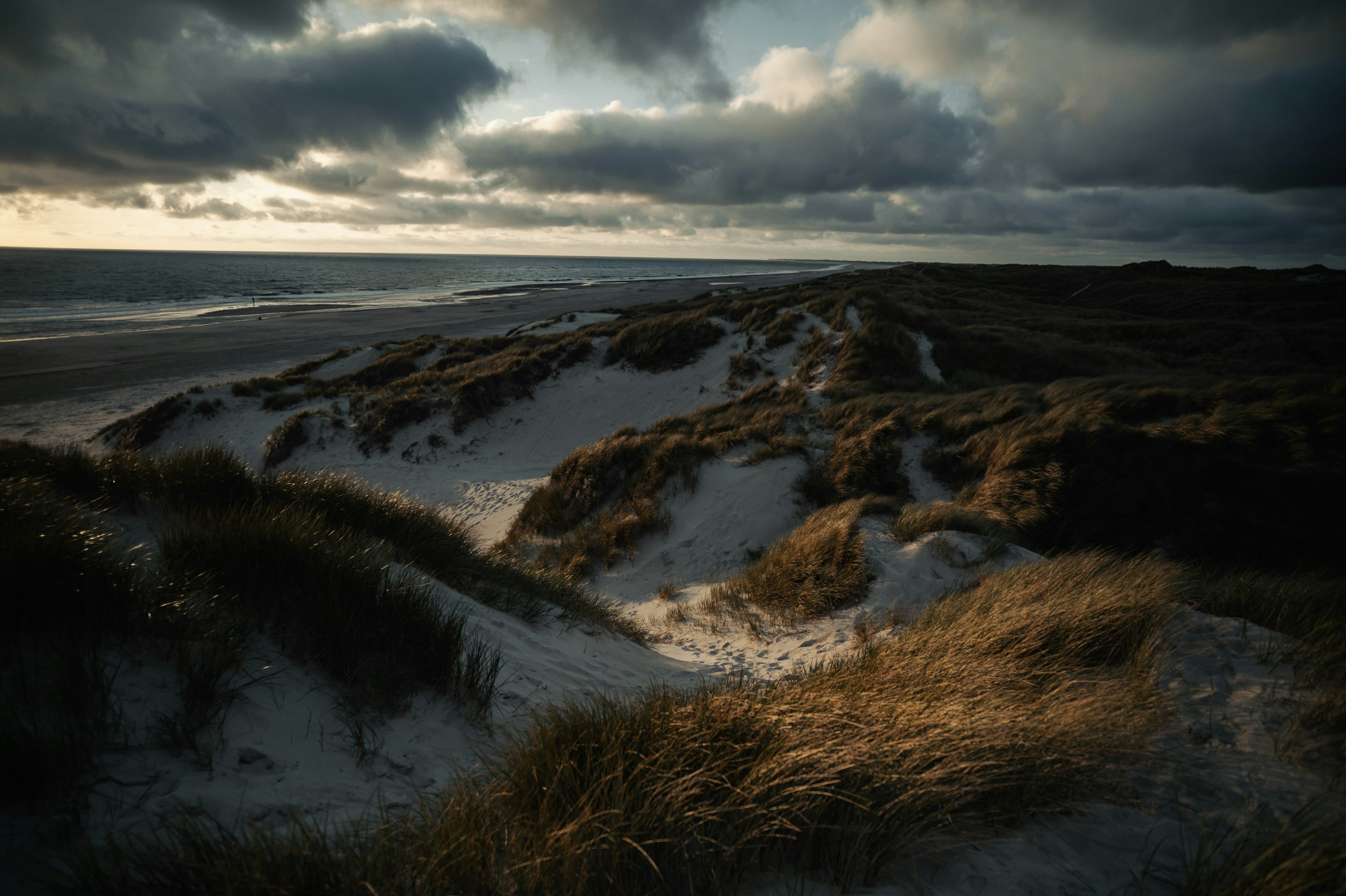 Photo by lukaszischke