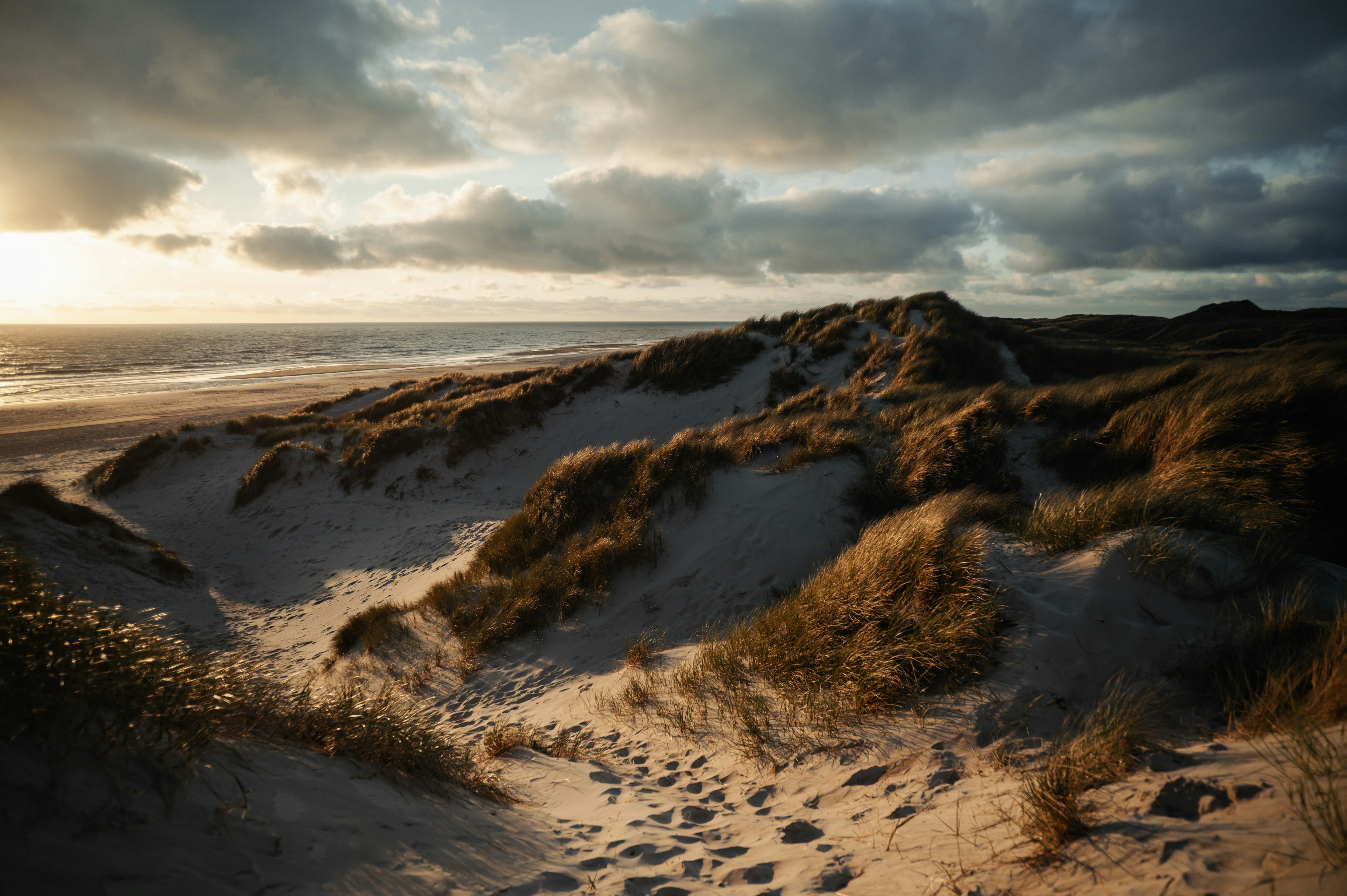 Photo by lukaszischke