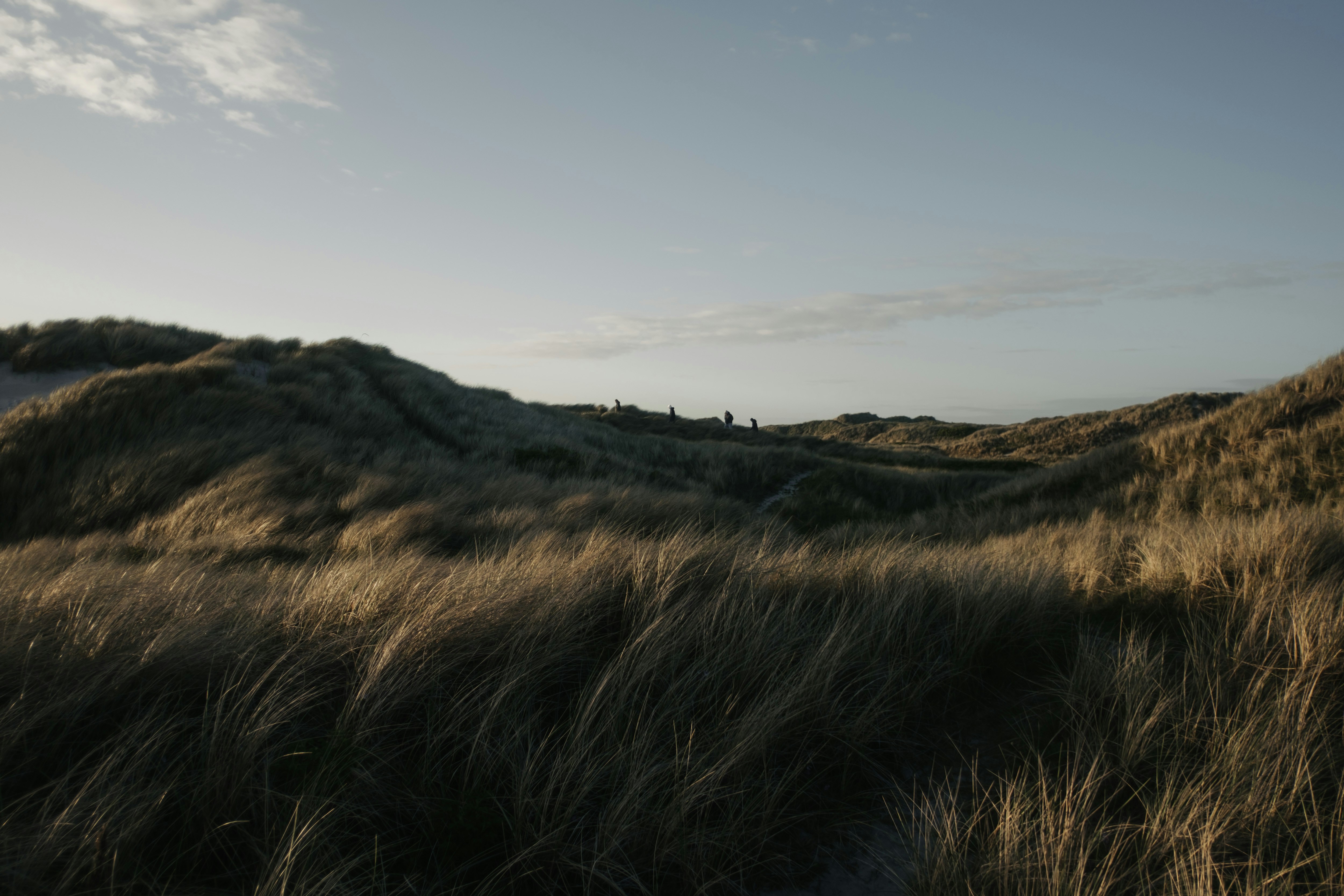 Photo by lukaszischke