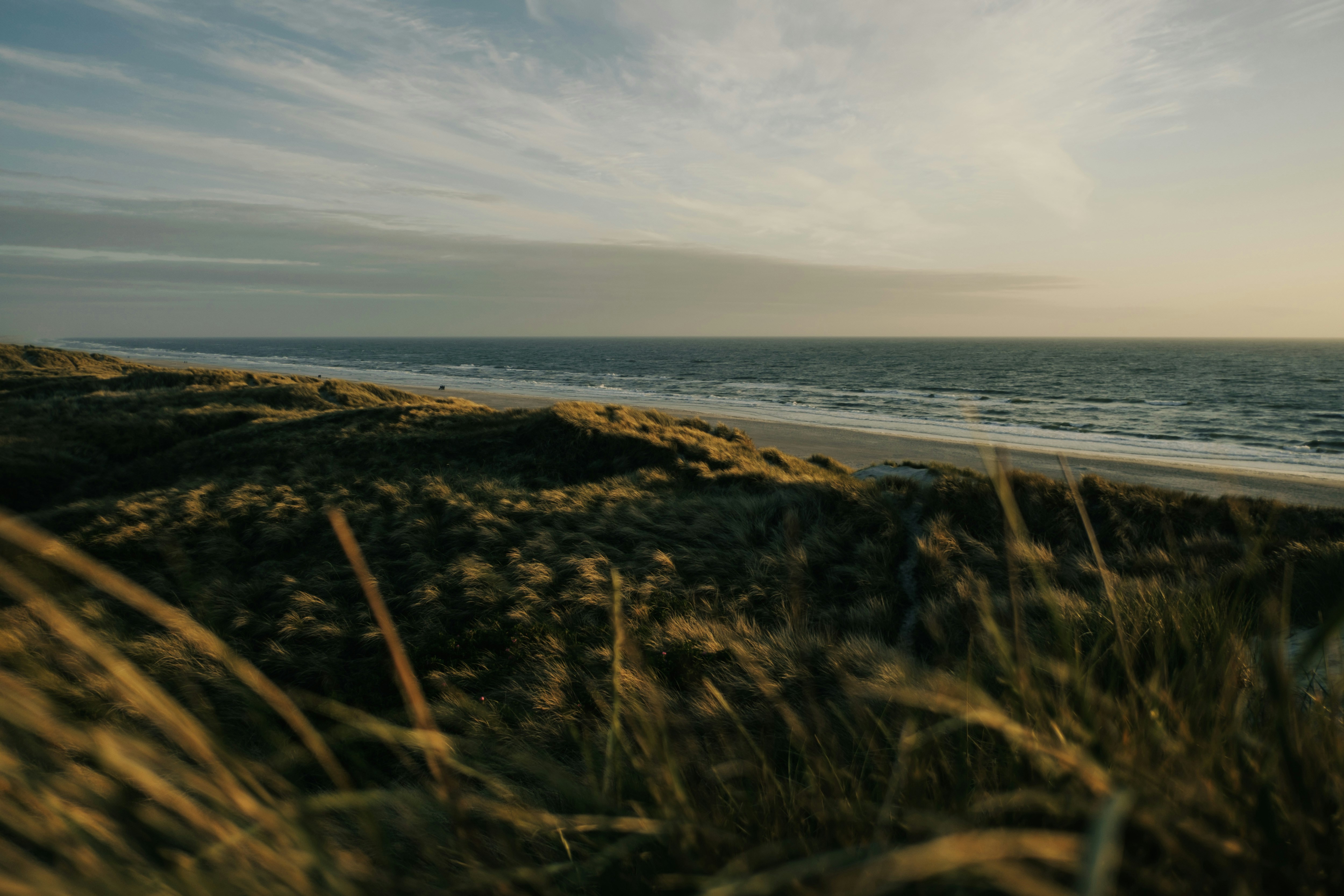 Grassy dunes overlook a calm ocean.
