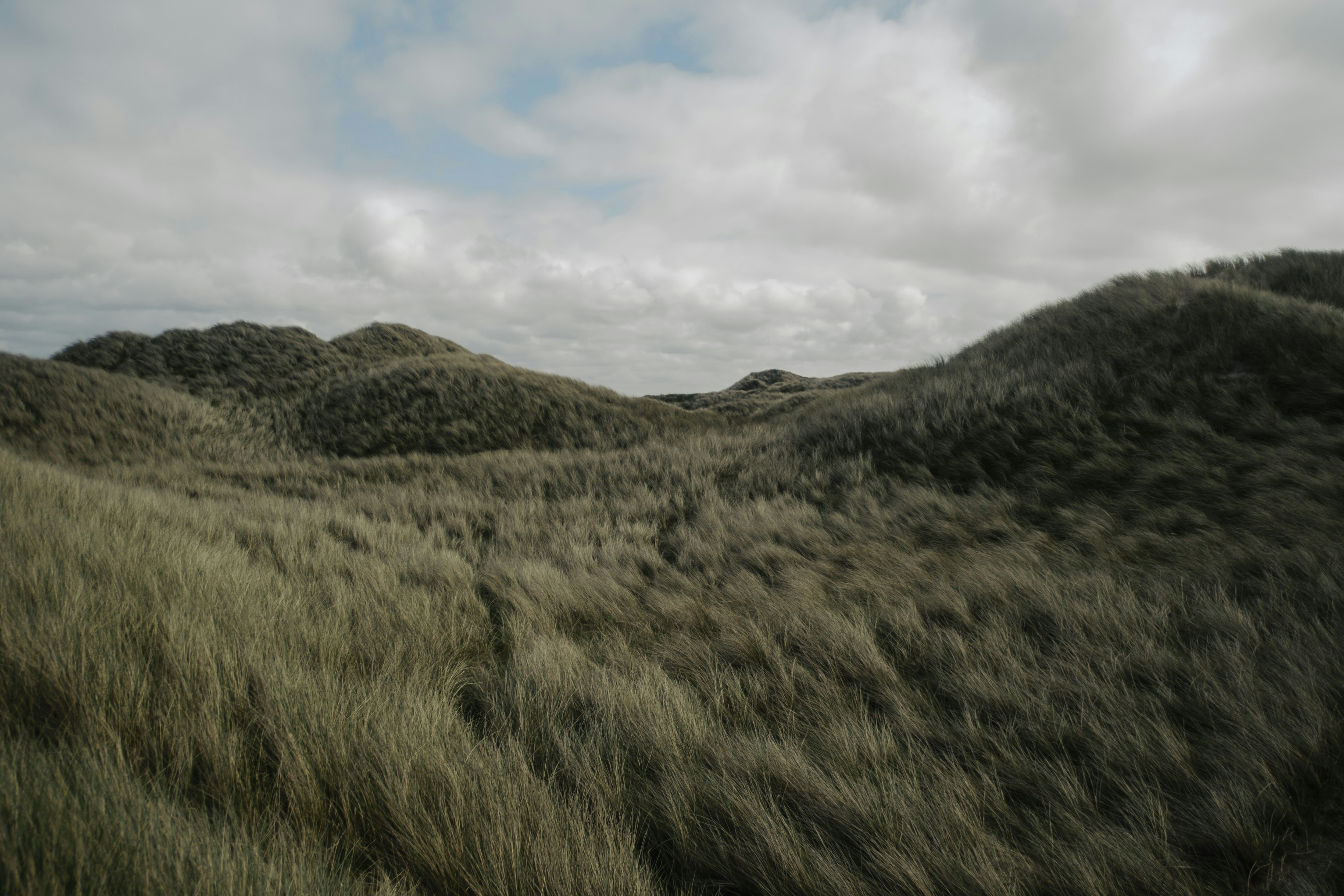 Photo by lukaszischke