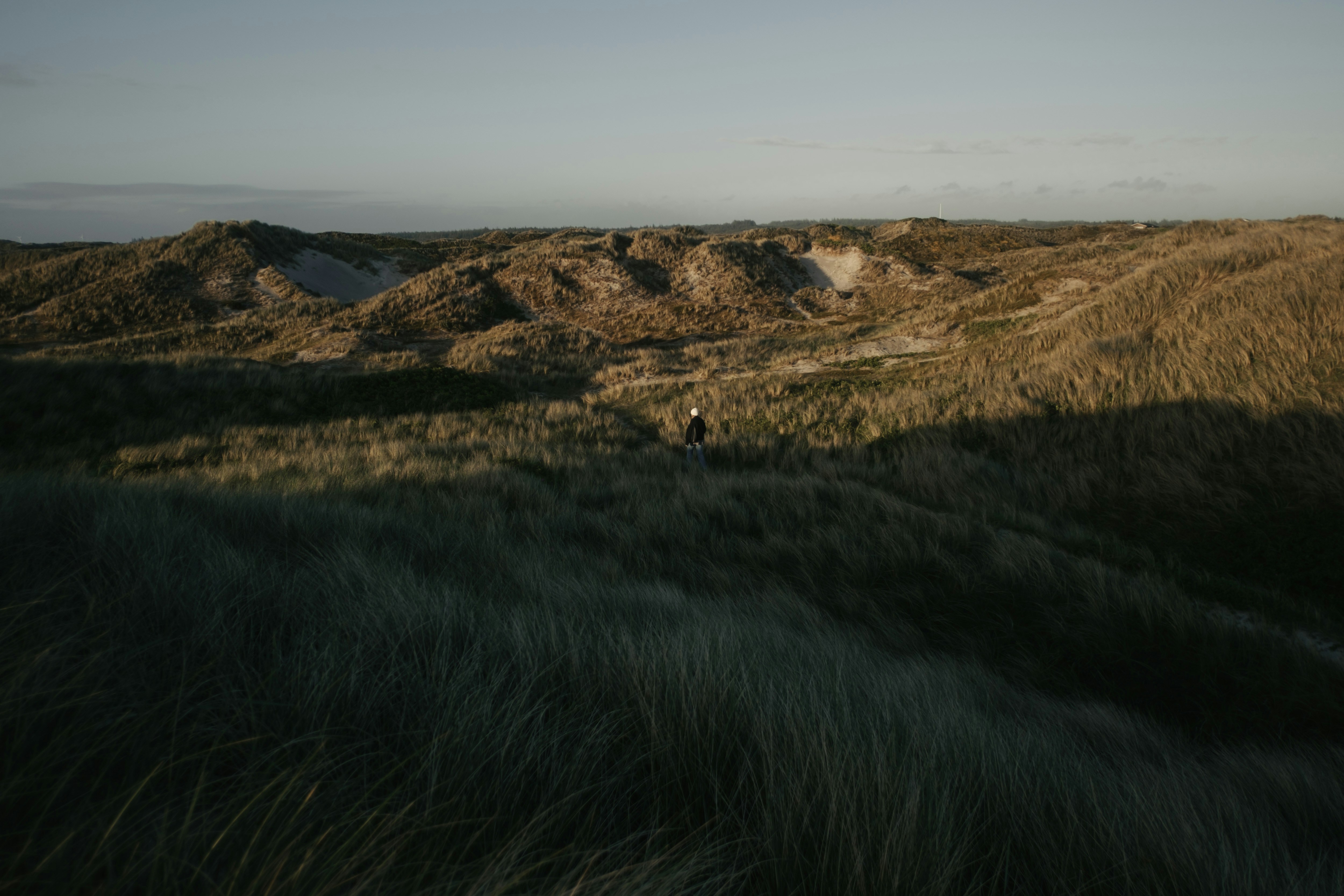 A person walks through a grassy, hilly landscape.