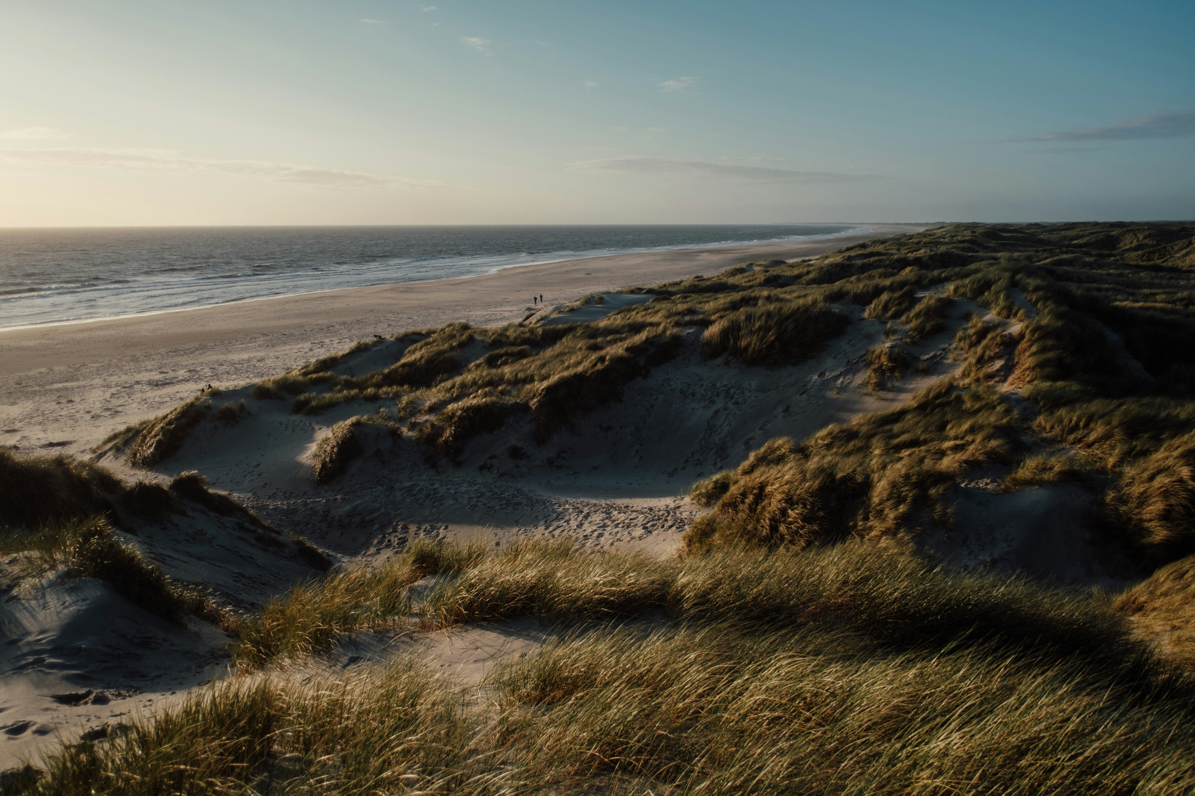 Sandy dunes and ocean on a sunny day.