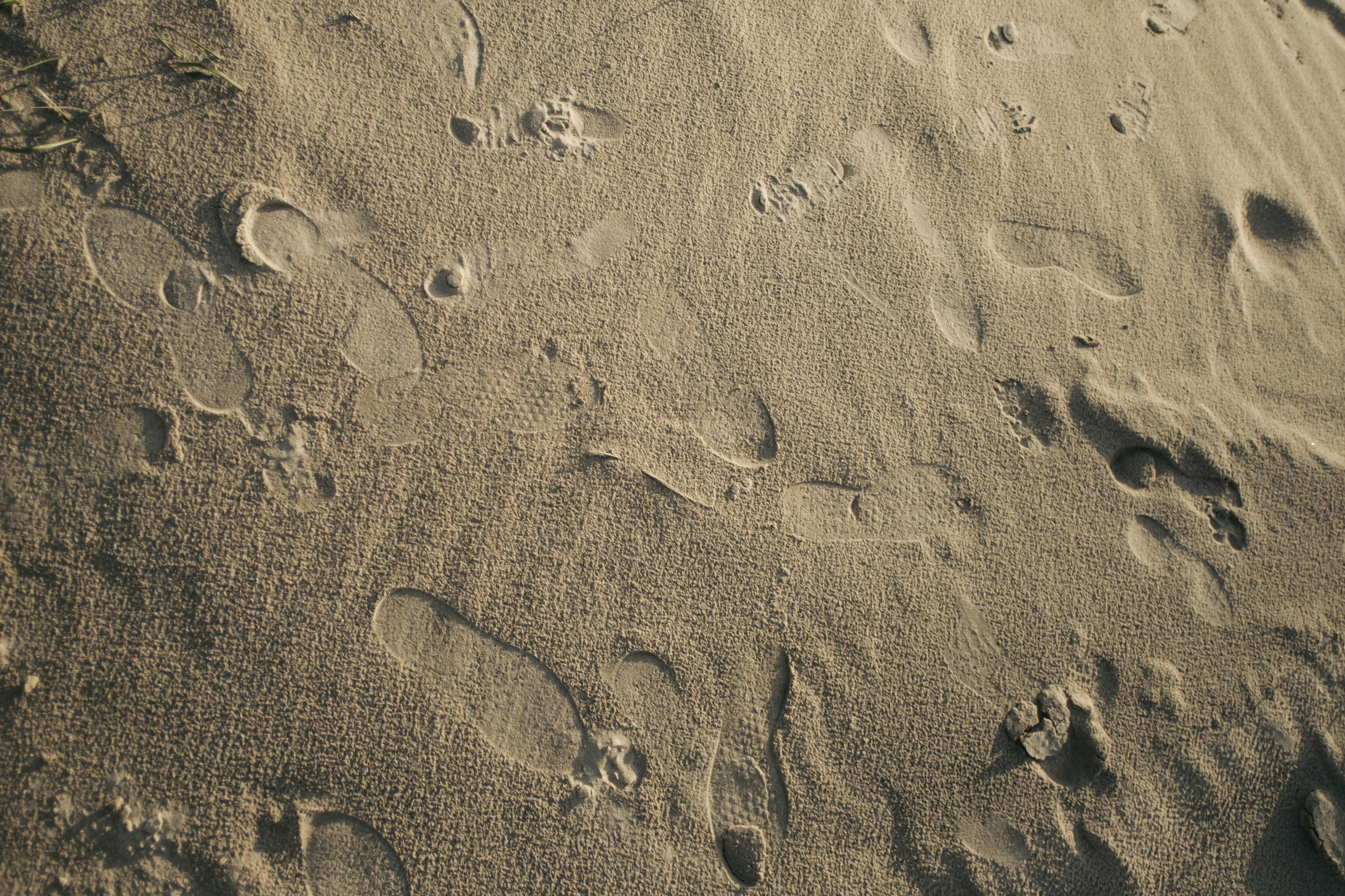 Photo by lukaszischke