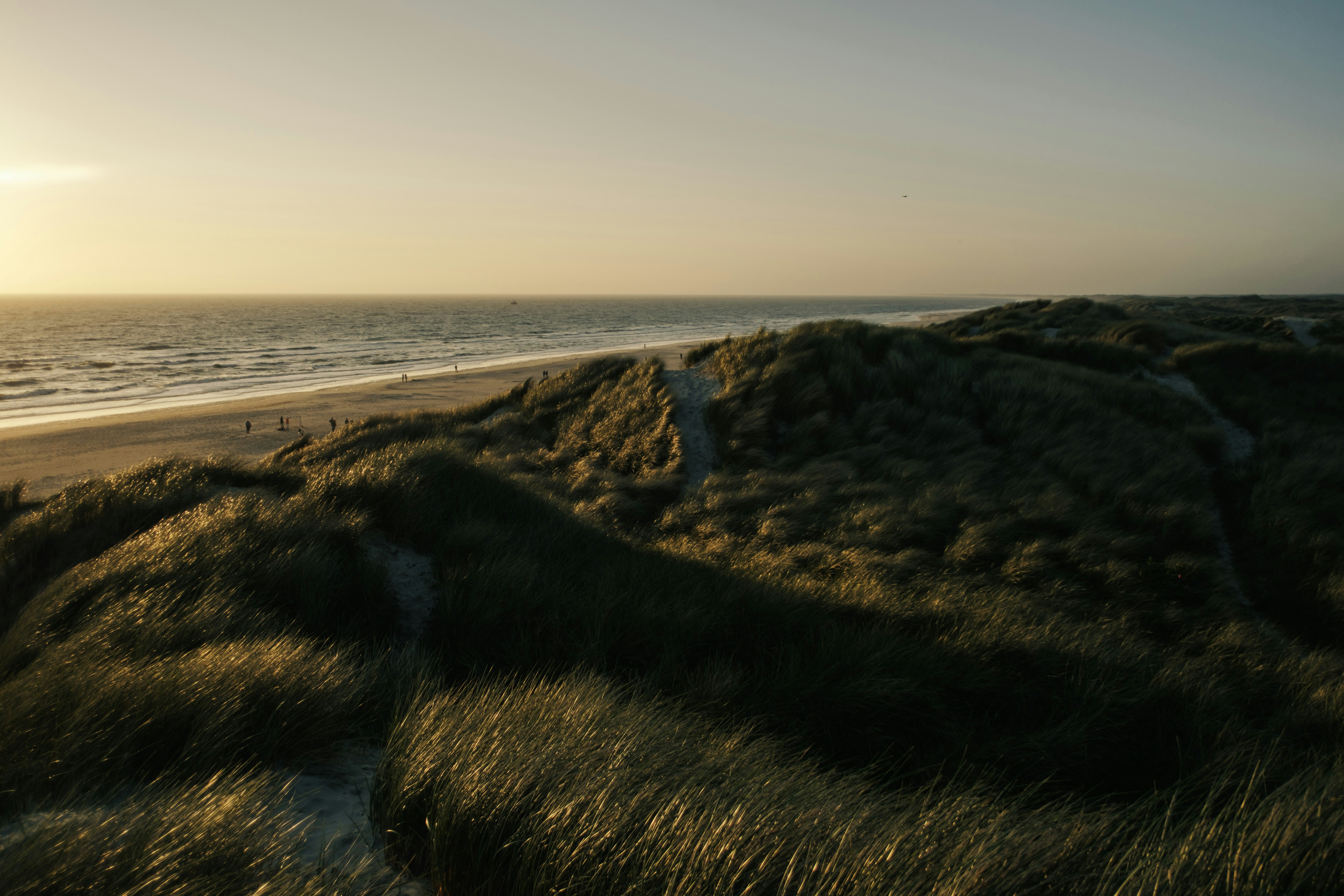 A golden sunset casts light on a sandy beach.