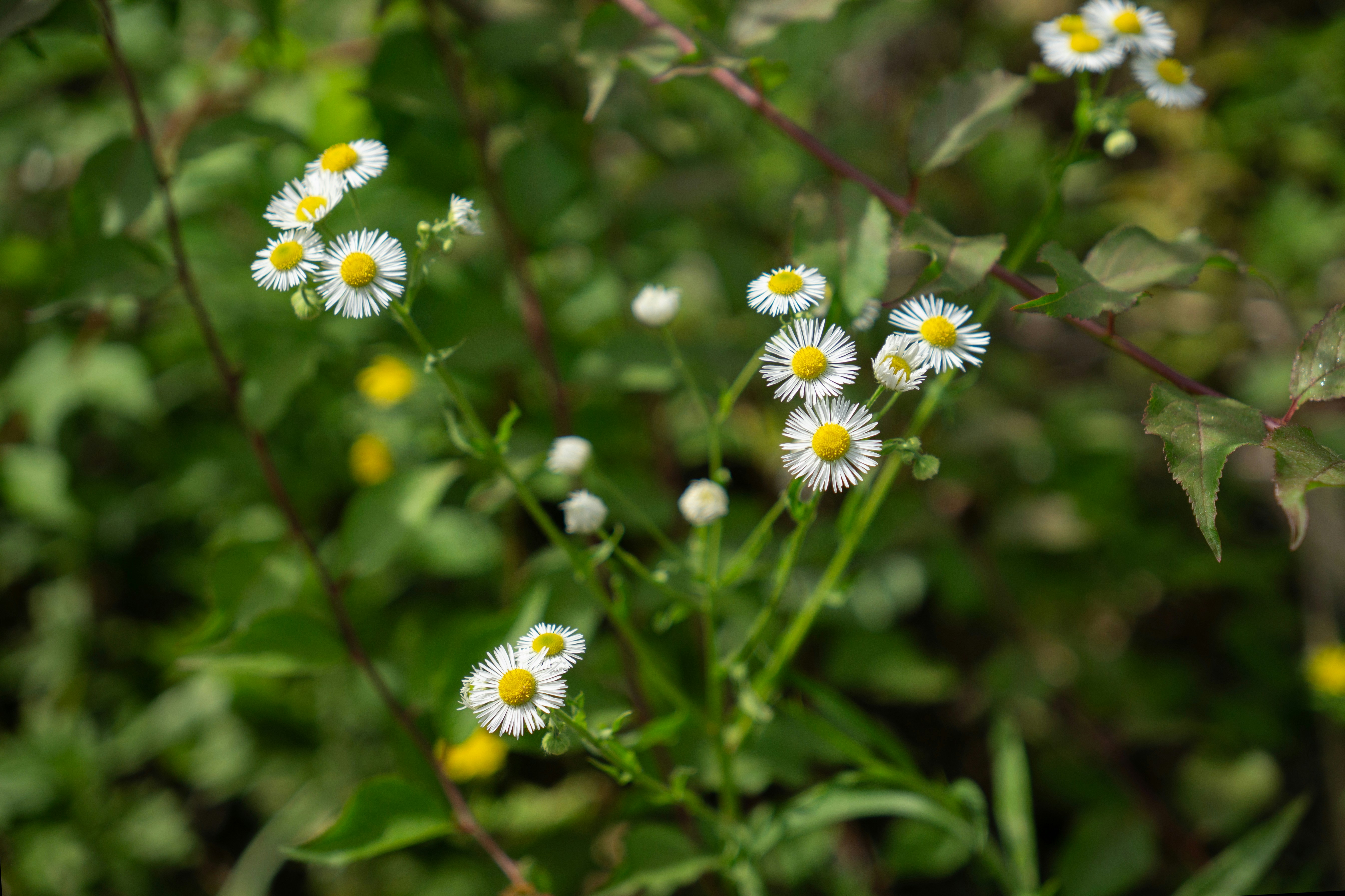 Photo by sunnydays22