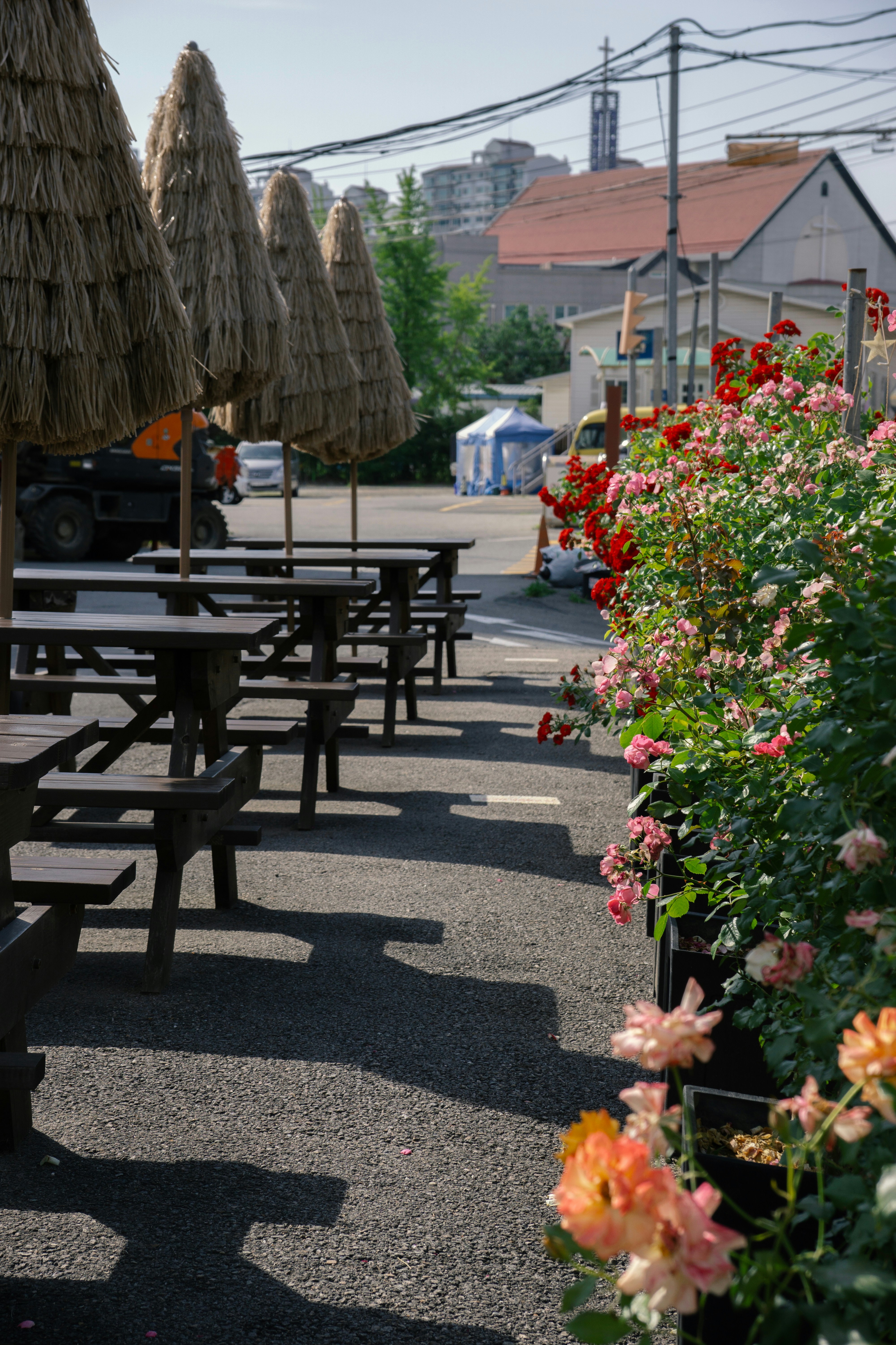 Photo by sunnydays22