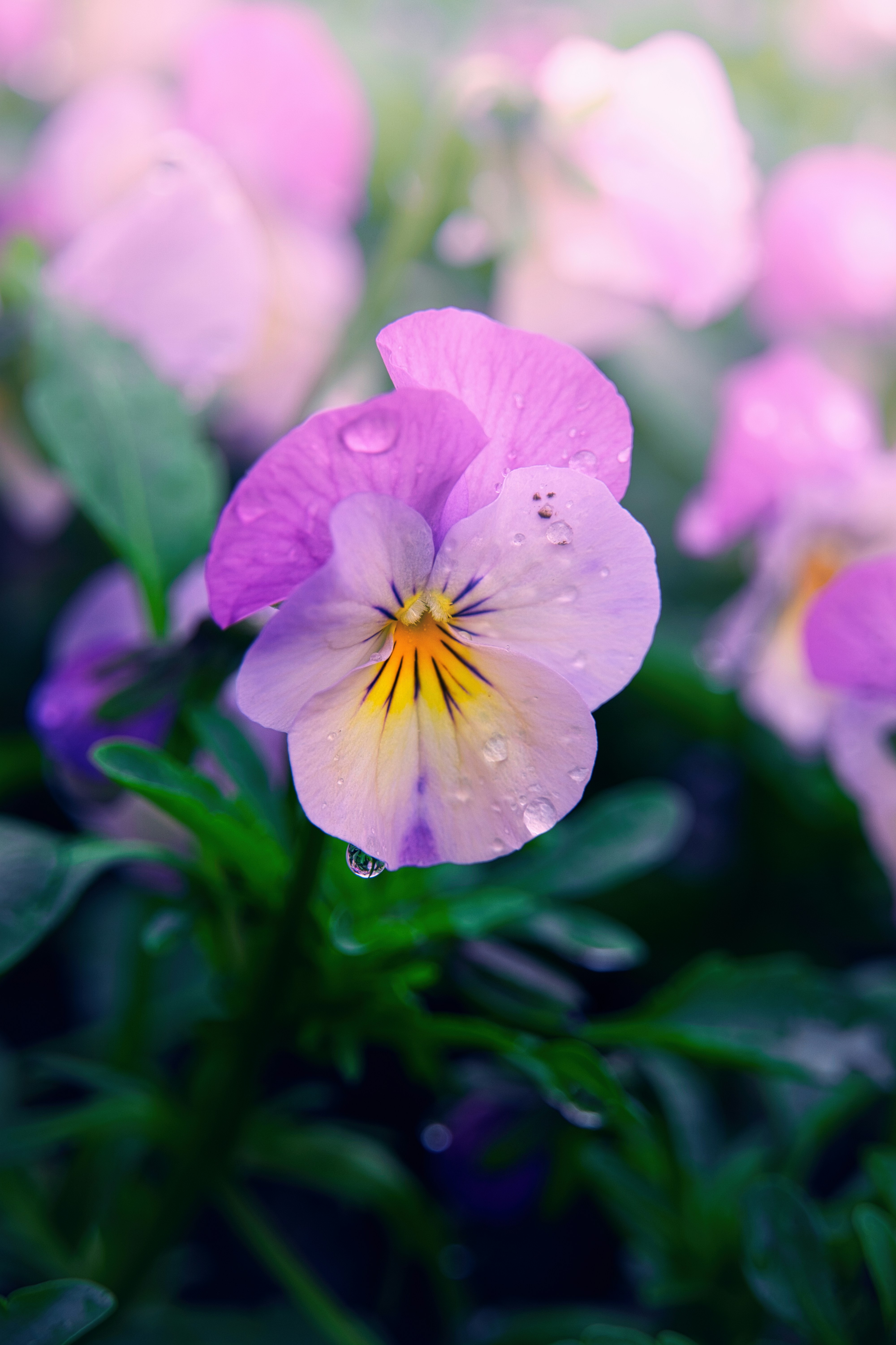 Photo by theskytales