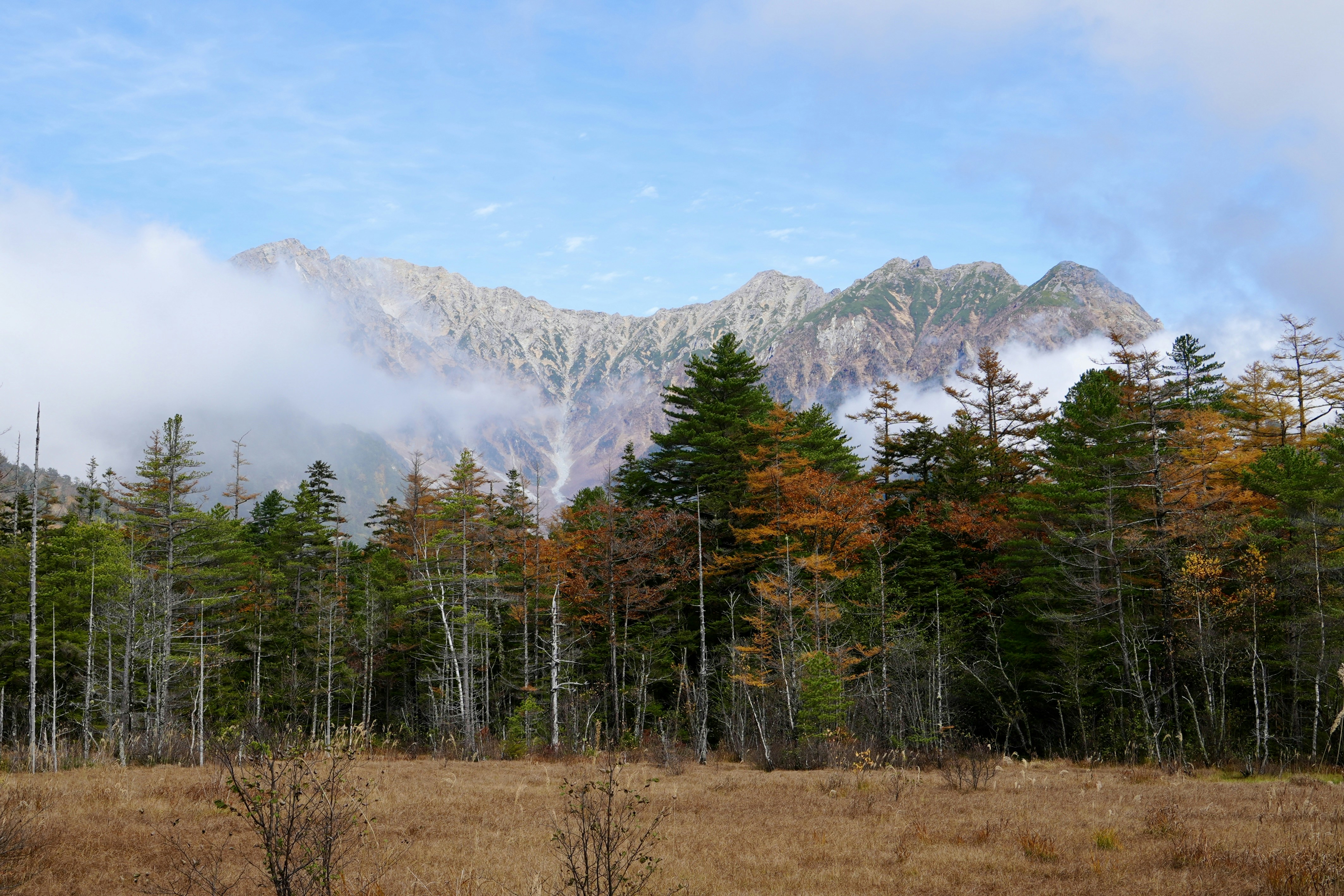 Mountains rise behind a forest.