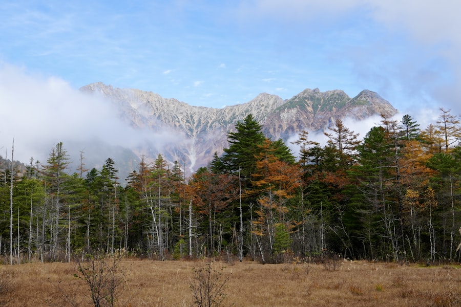日本山谷中的秋季紅葉與晨霧