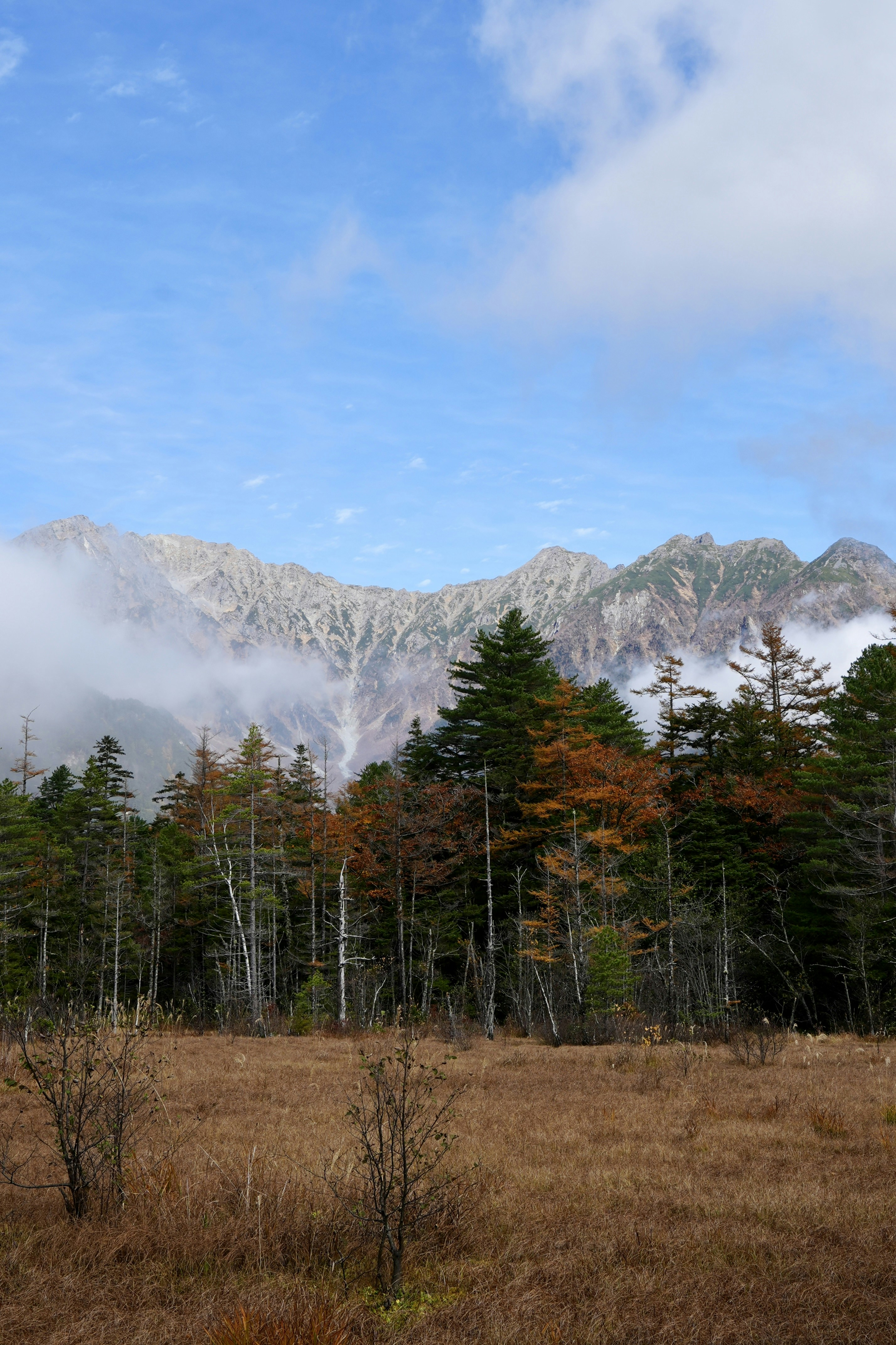 Mountains peak through cloudy sky with trees.