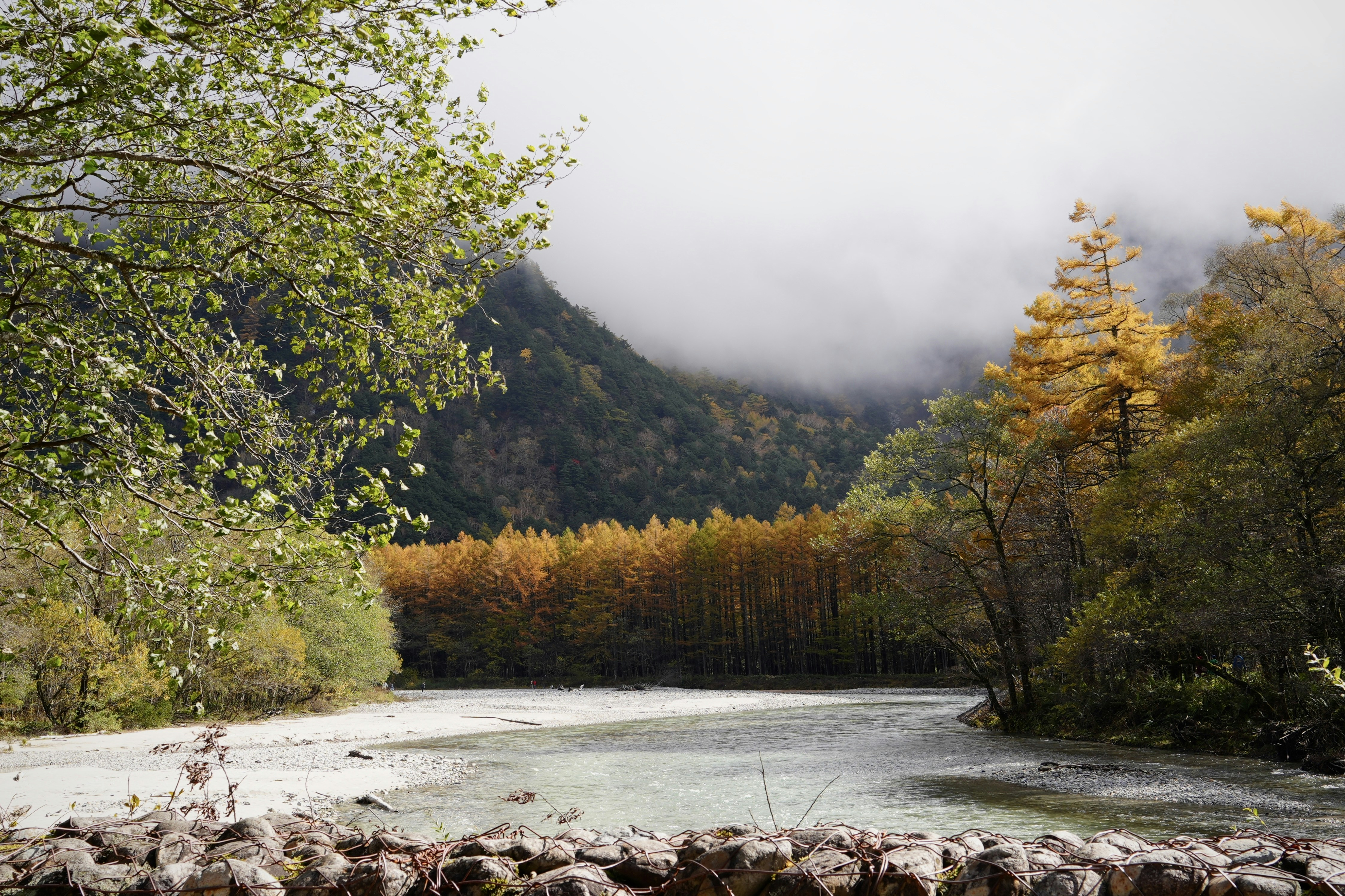 A foggy river winds through an autumn landscape.
