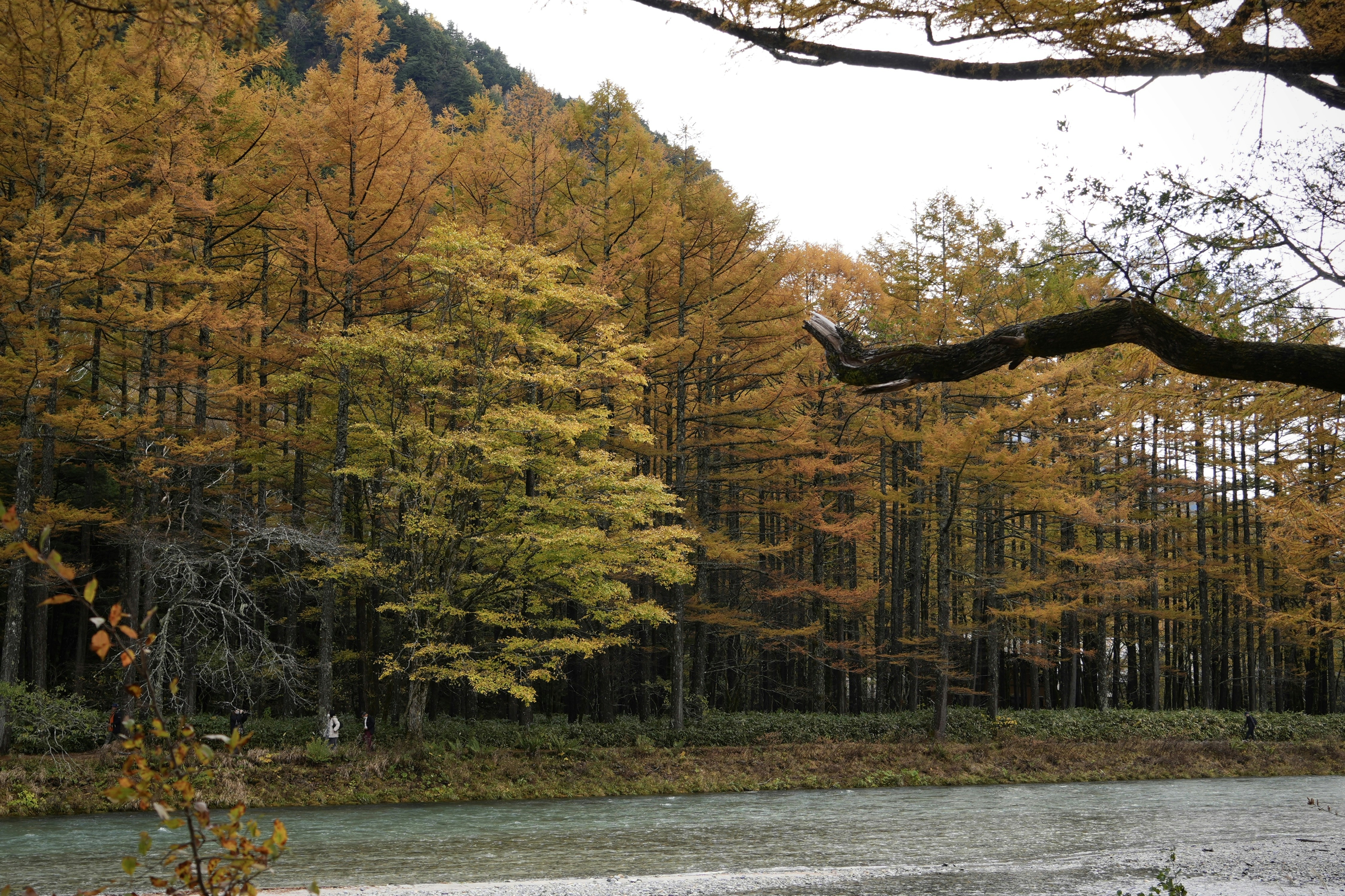 Nagano mountains and autumn glamping tents