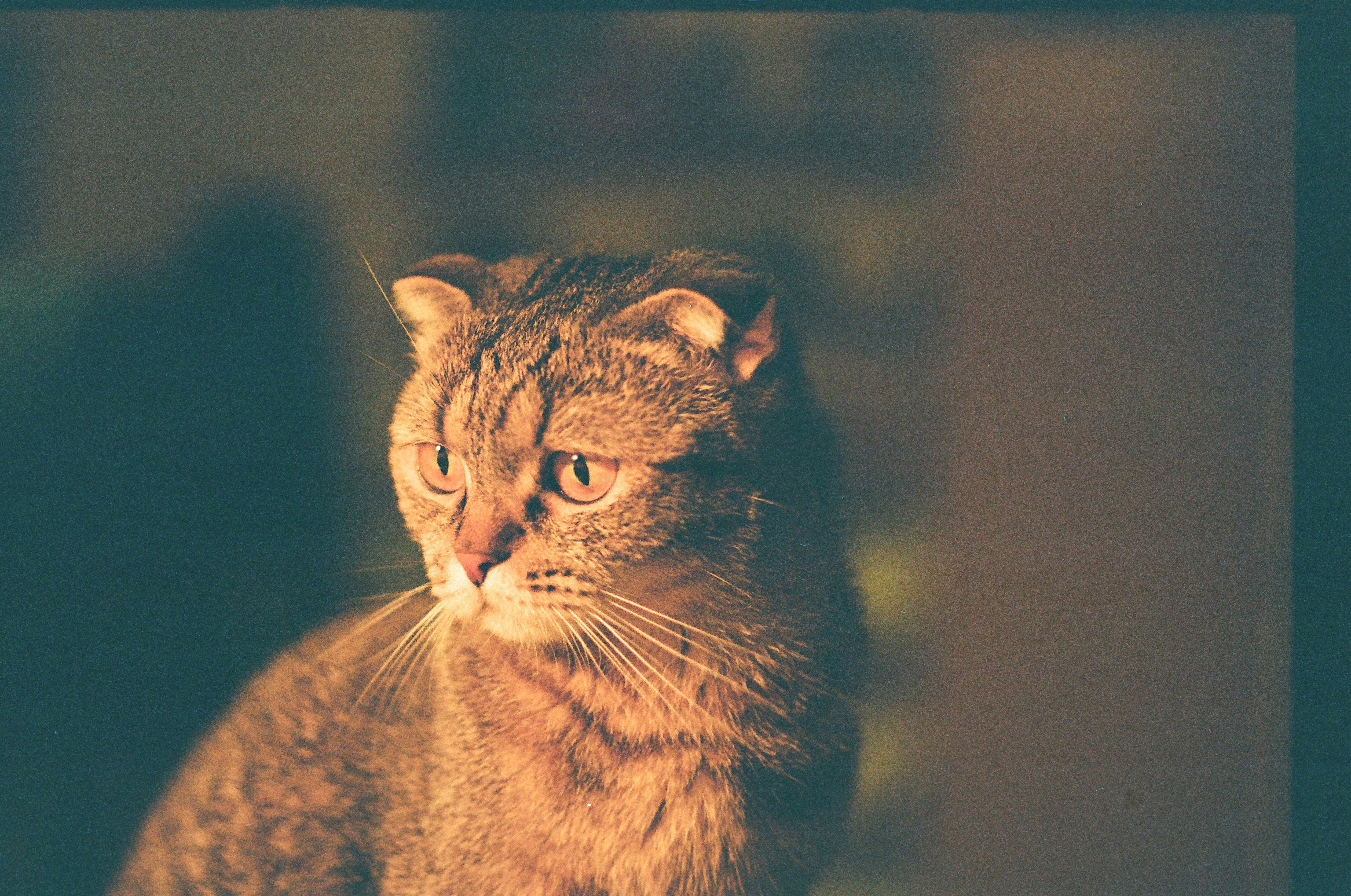 Photo by karina_victoria