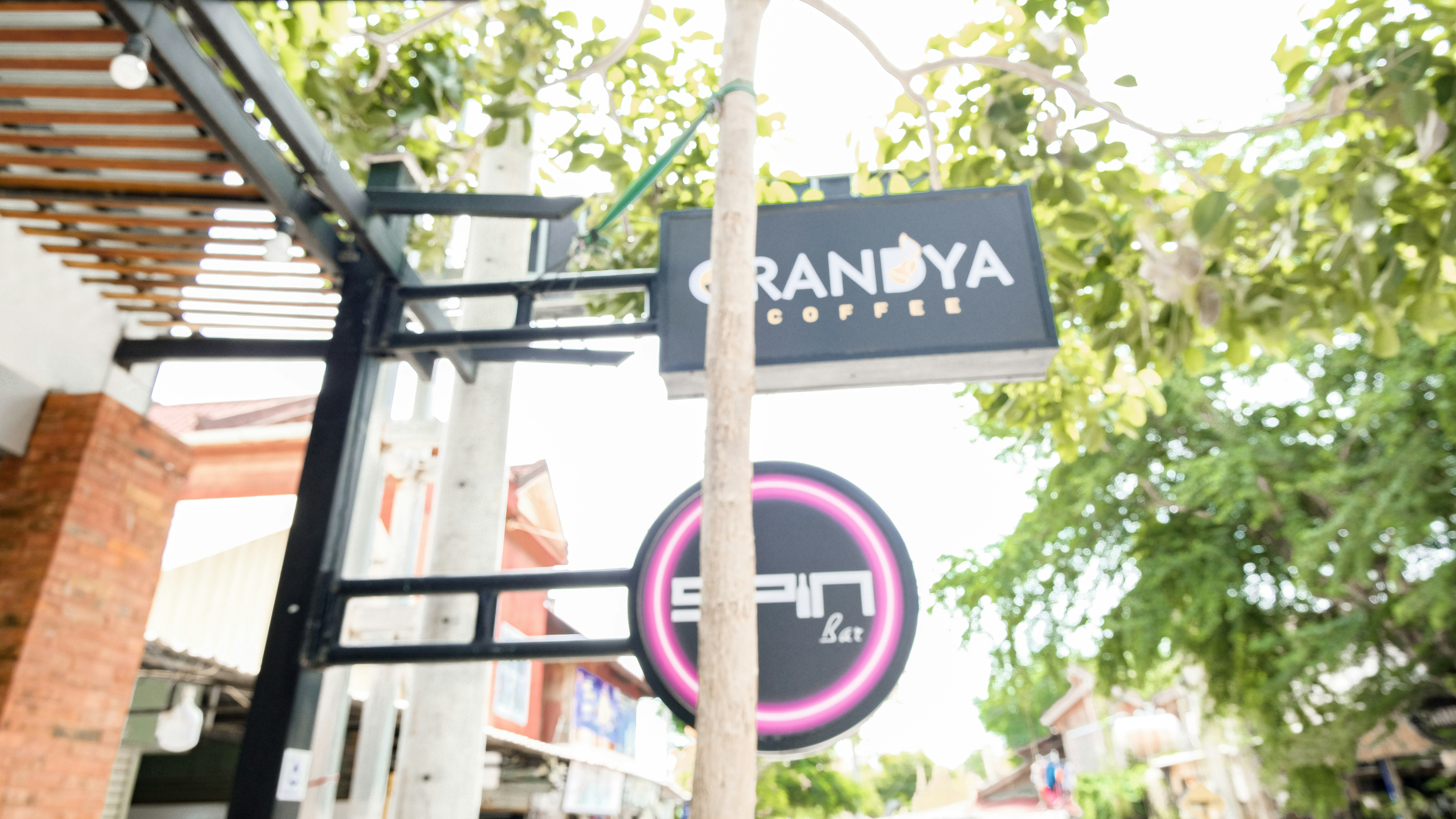 Coffee shop signs hang outdoors under trees.