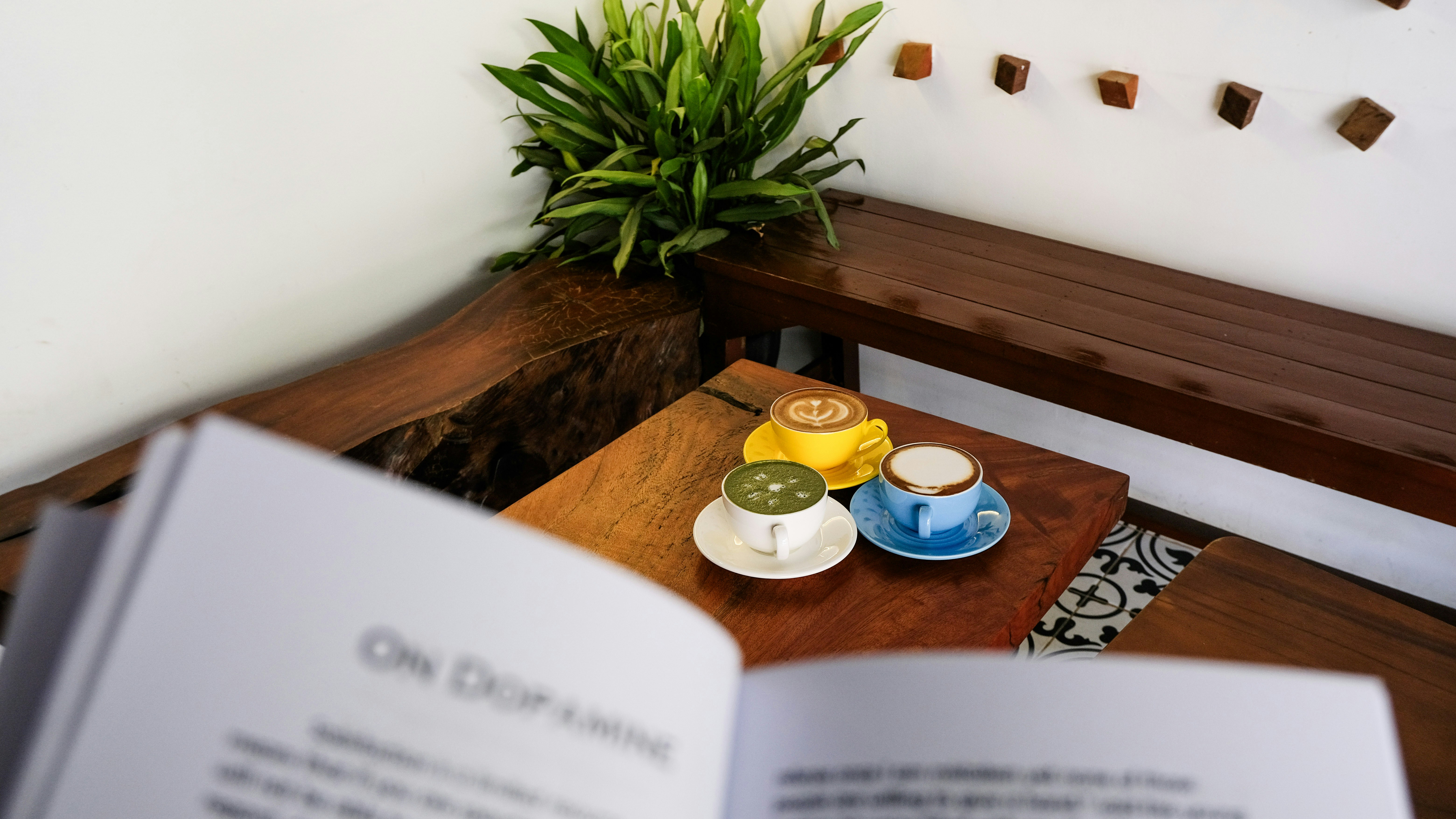 Coffee and treats await a reader in a cozy cafe.