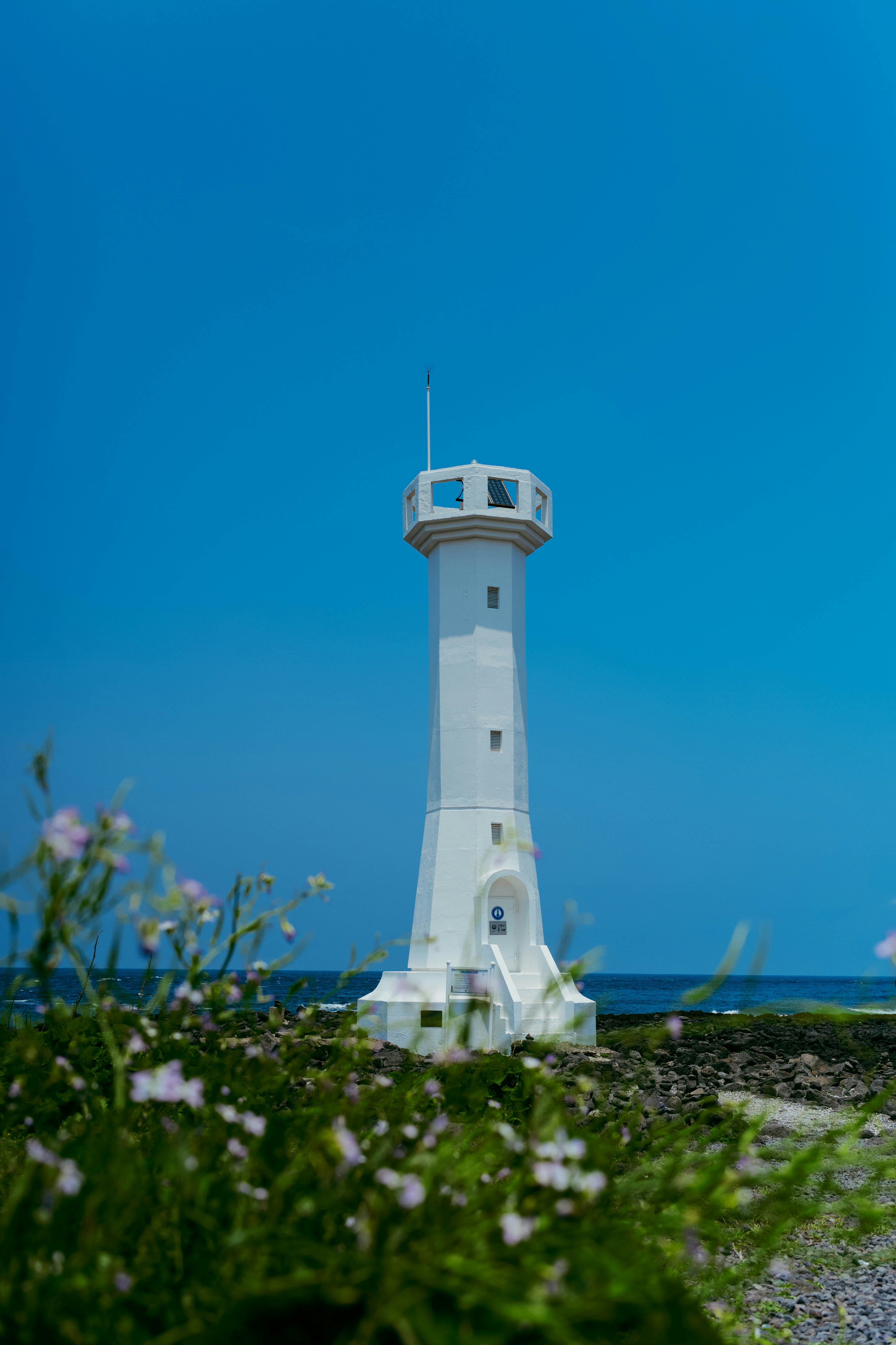 Photo by tommaomaoer