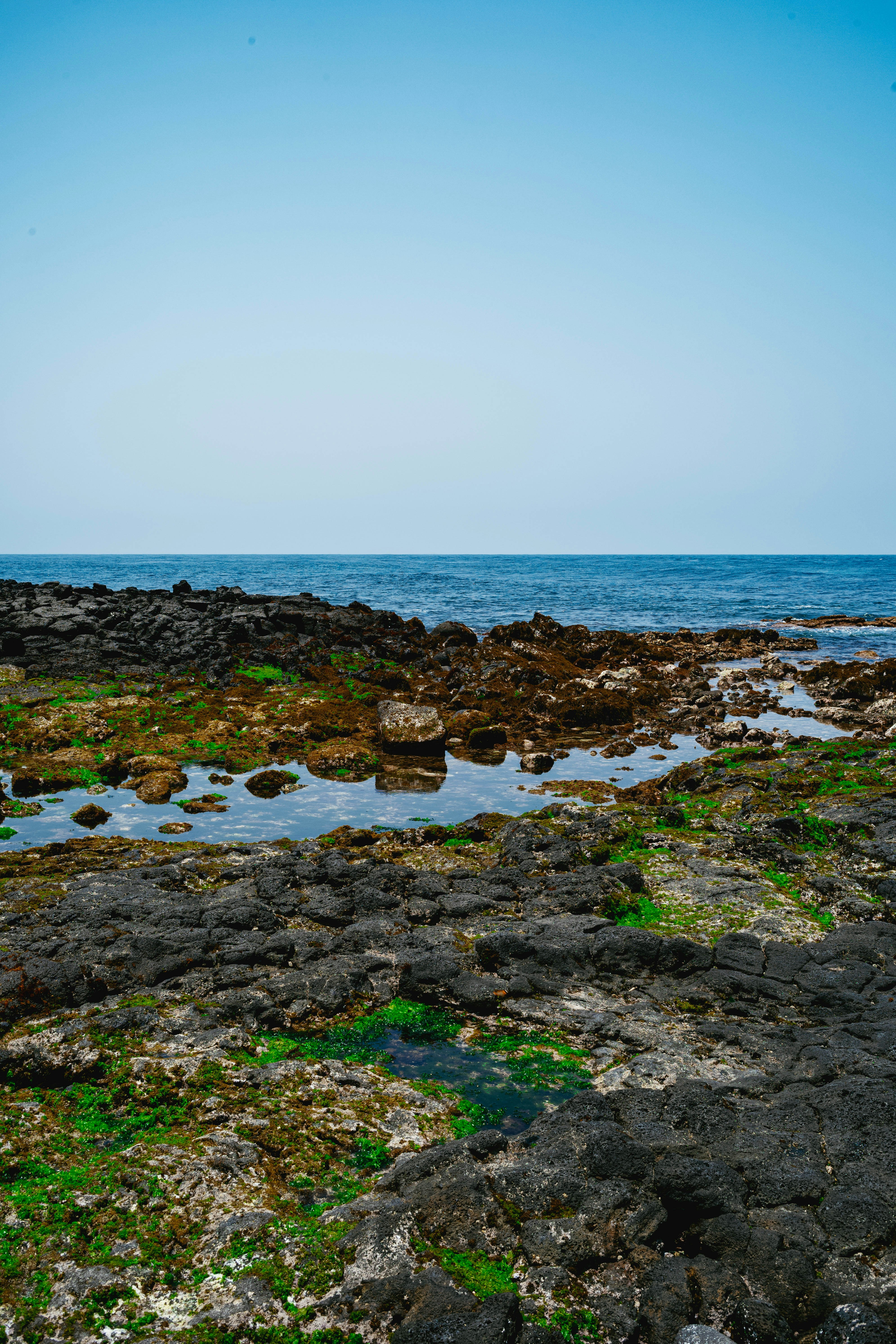 Photo by tommaomaoer