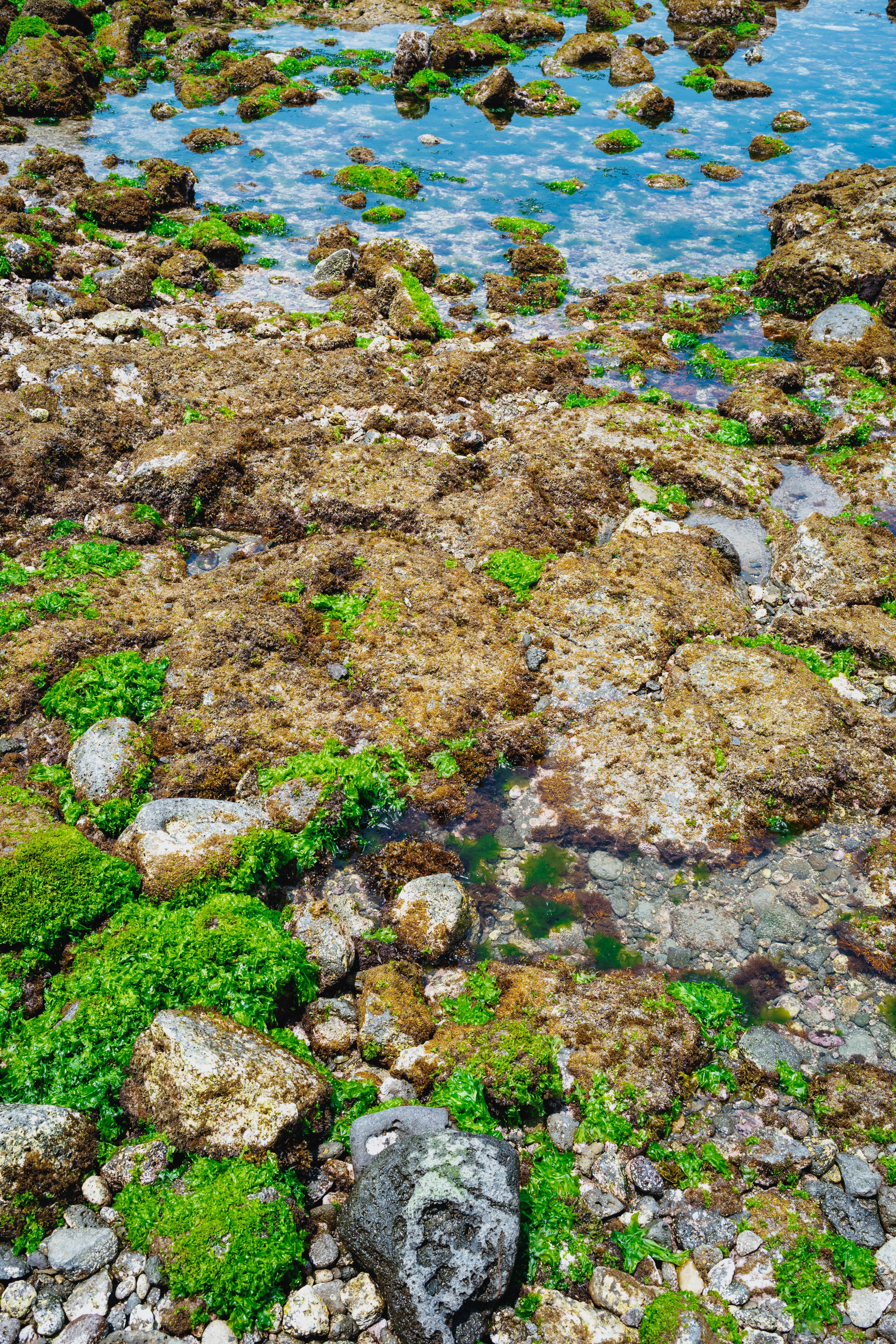 Photo by tommaomaoer