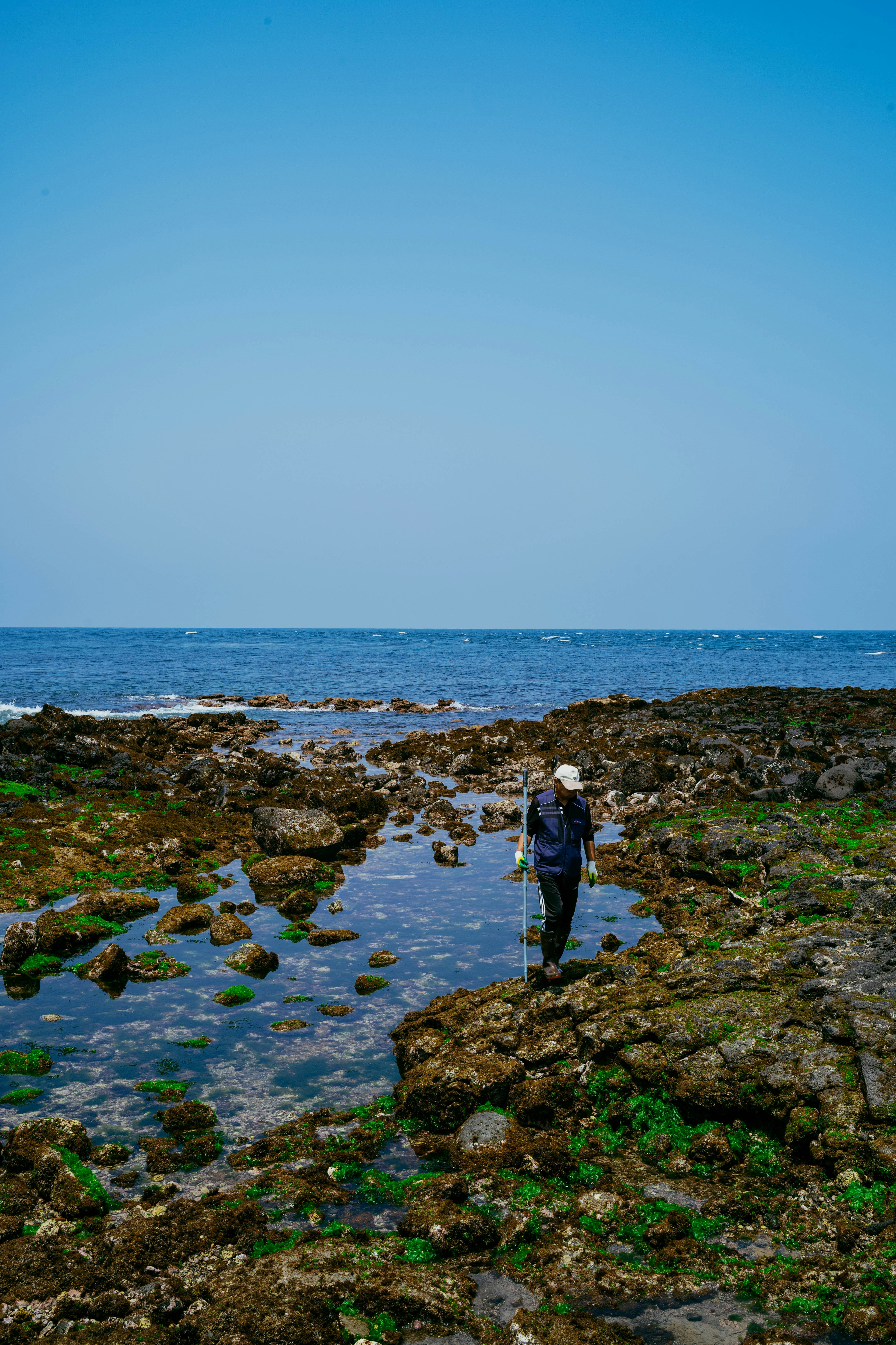 Photo by tommaomaoer