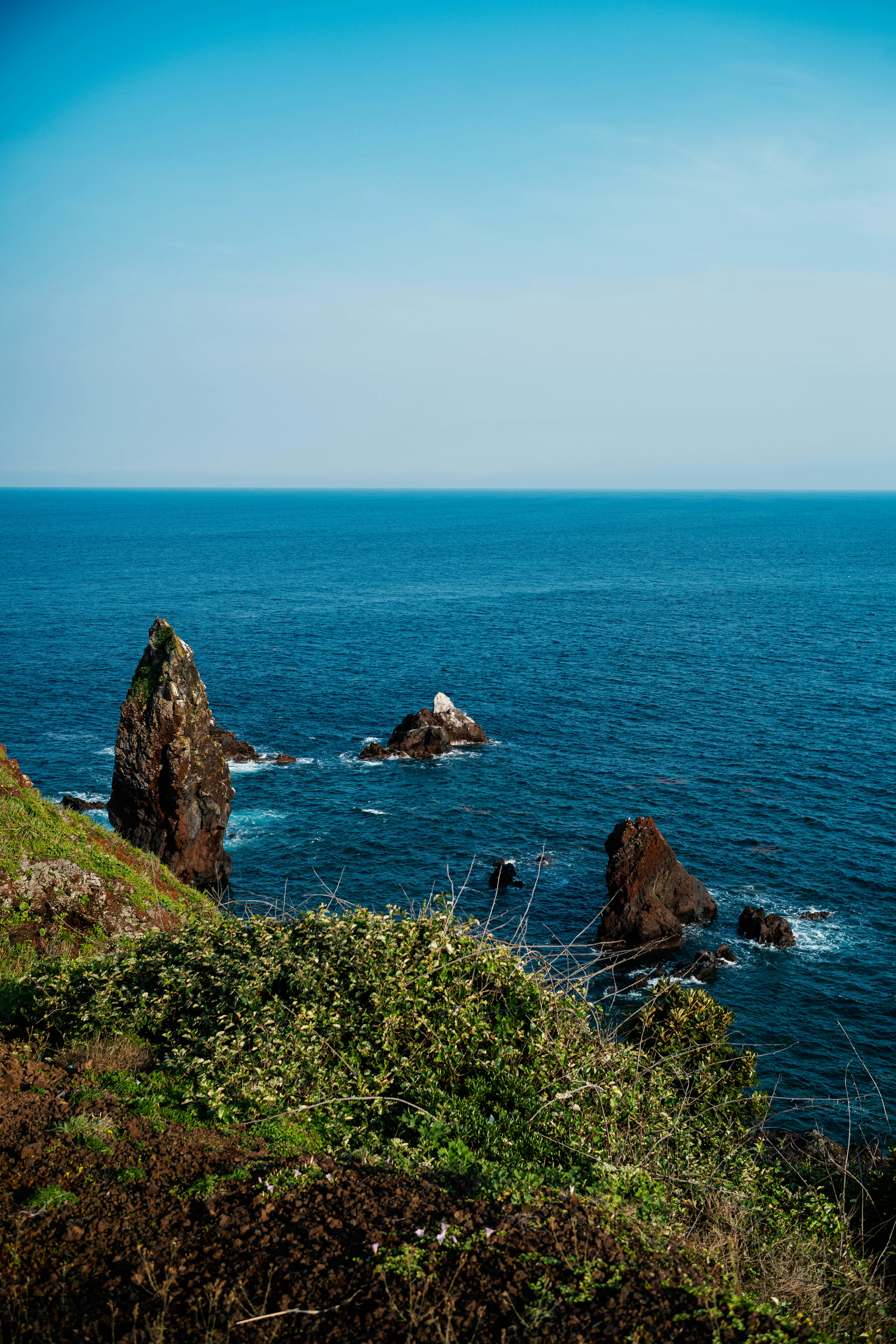 Photo by tommaomaoer