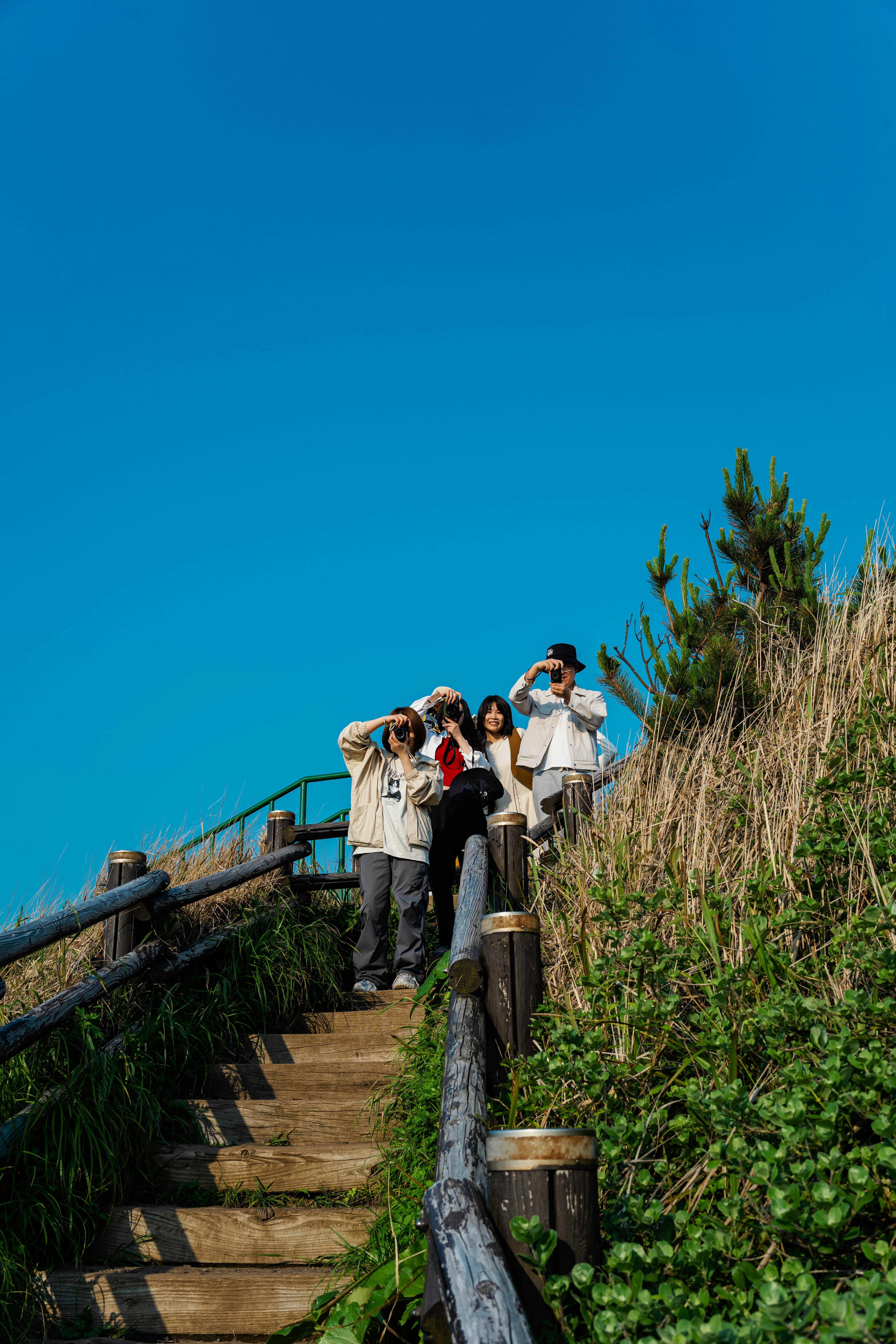 Photo by tommaomaoer