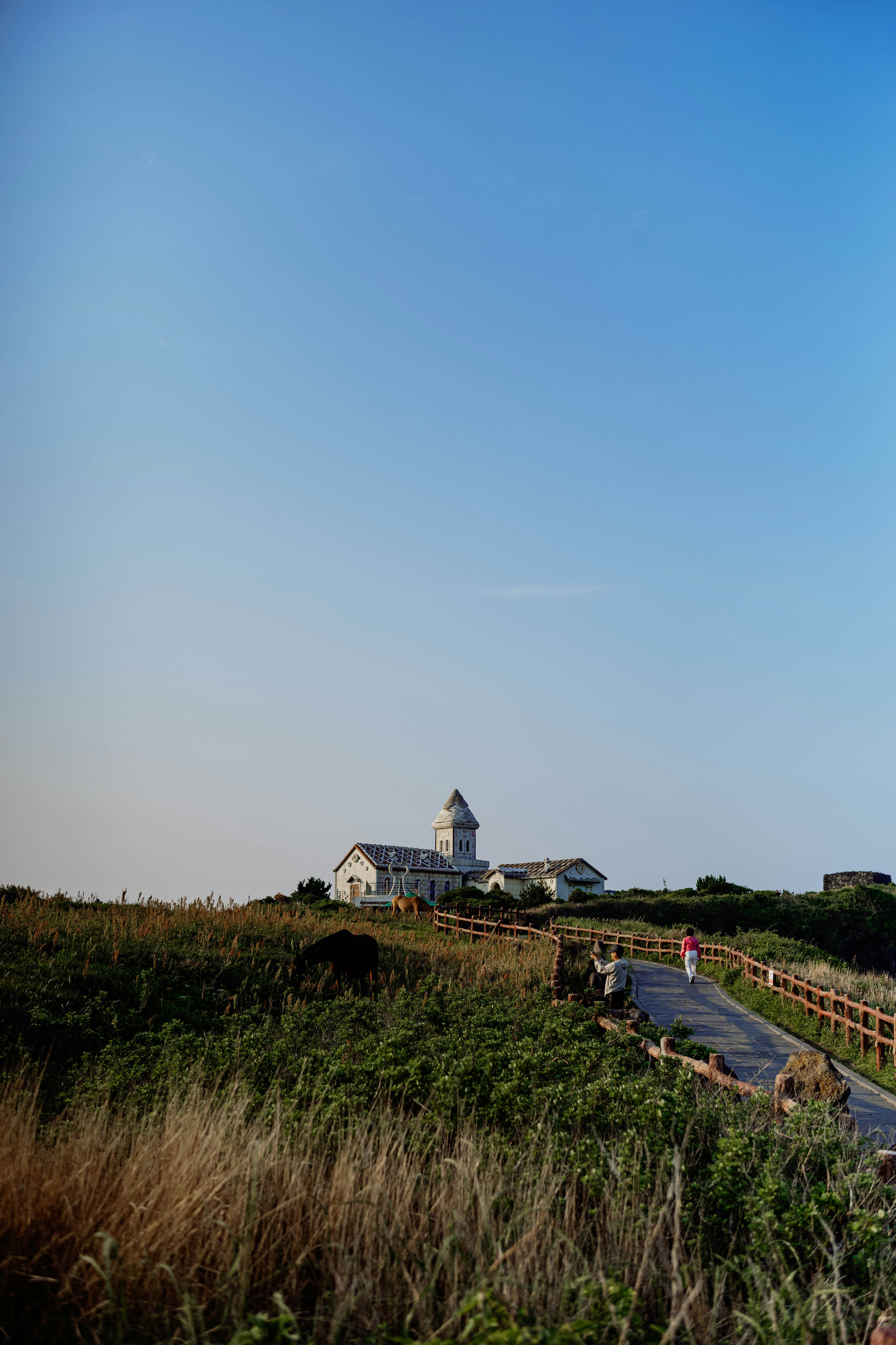 Photo by tommaomaoer