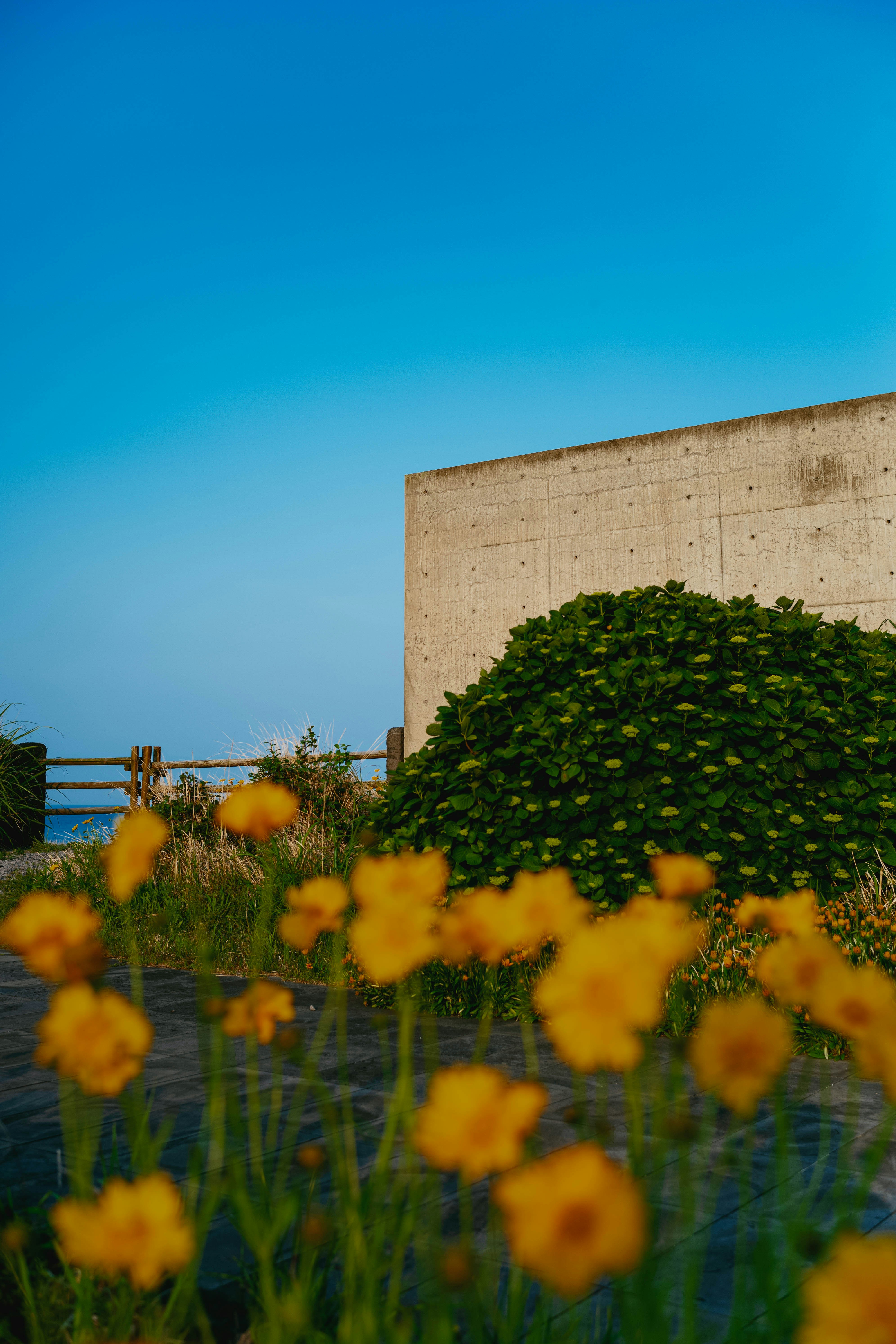 Photo by tommaomaoer
