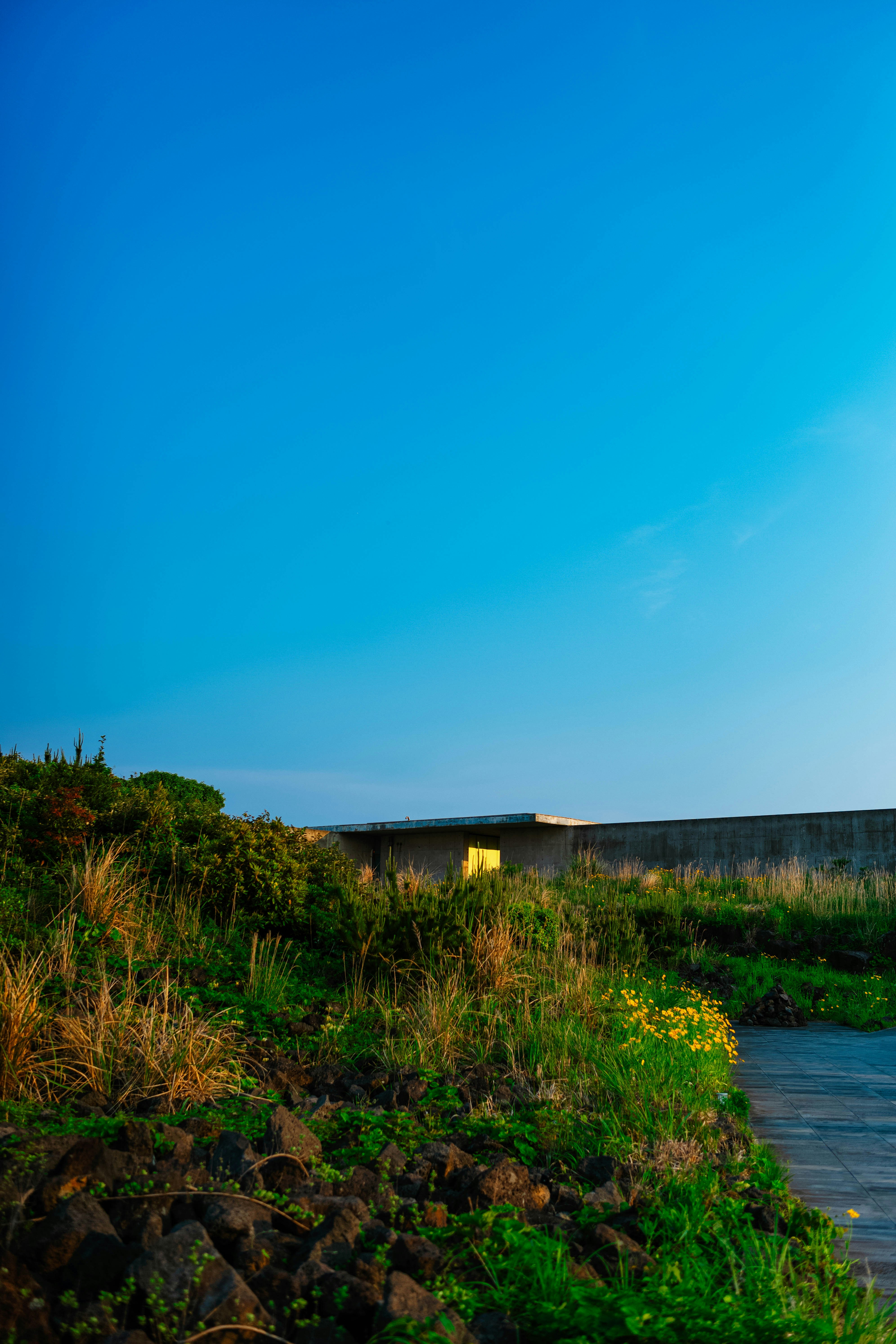 Photo by tommaomaoer