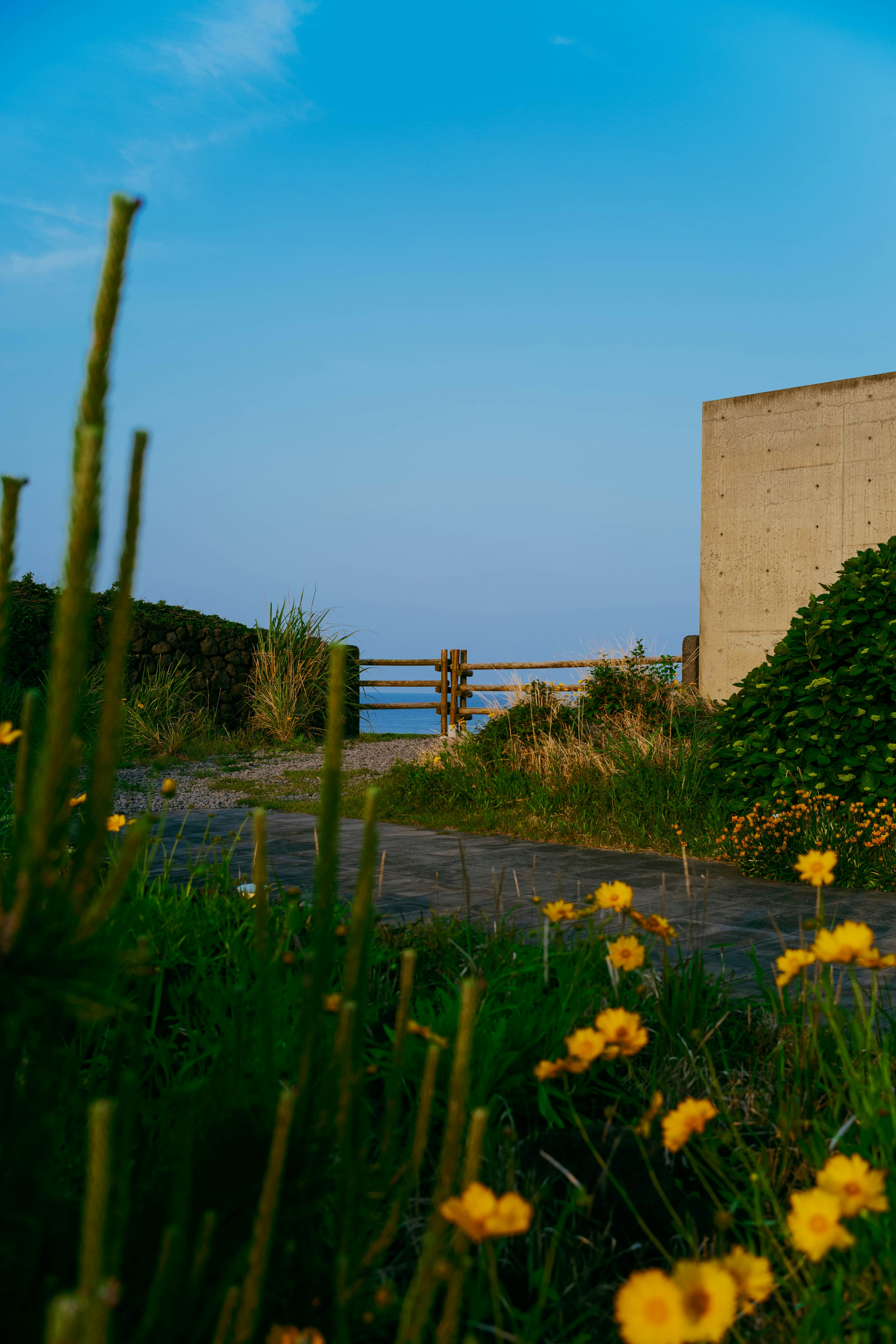 Photo by tommaomaoer