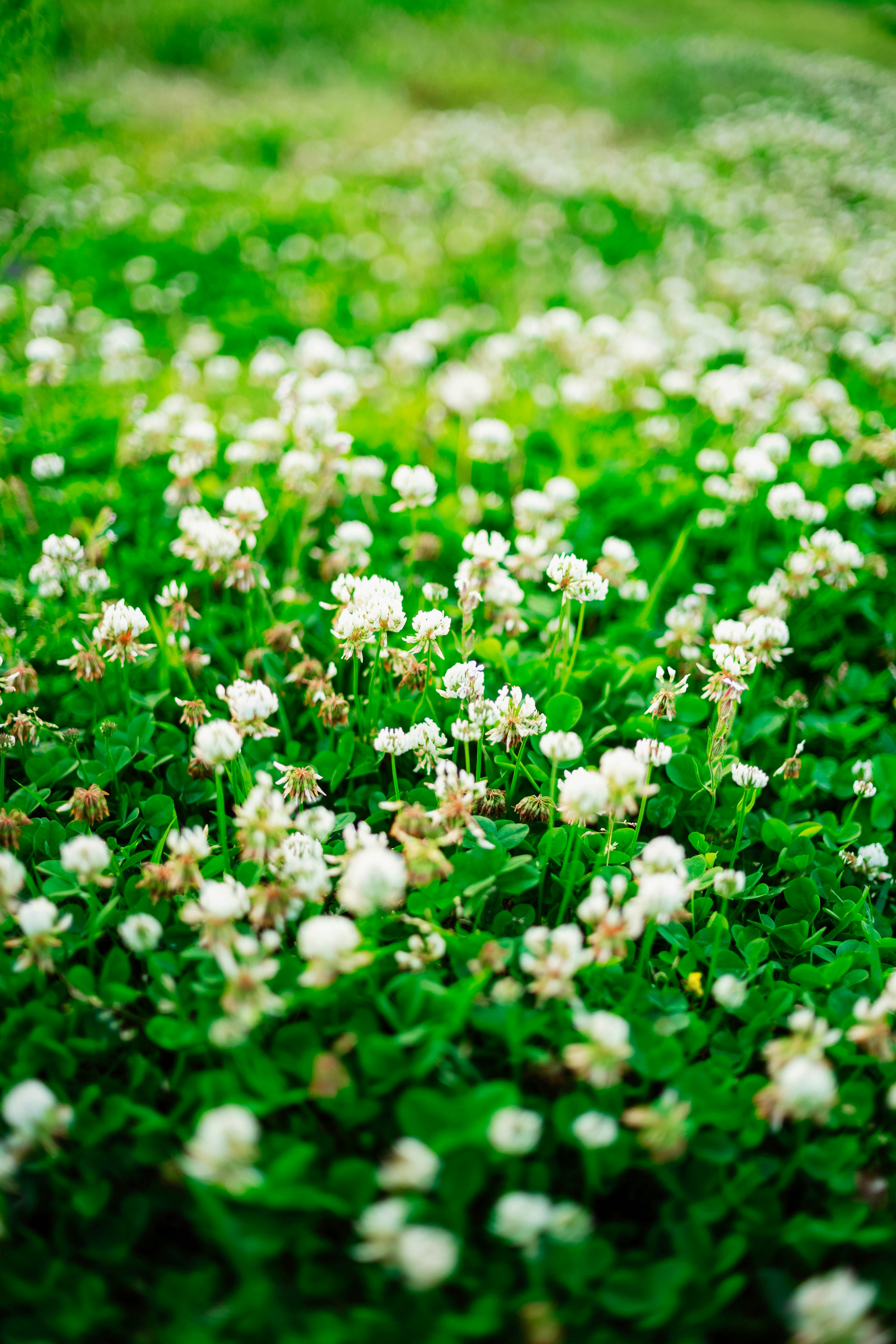 Photo by tommaomaoer