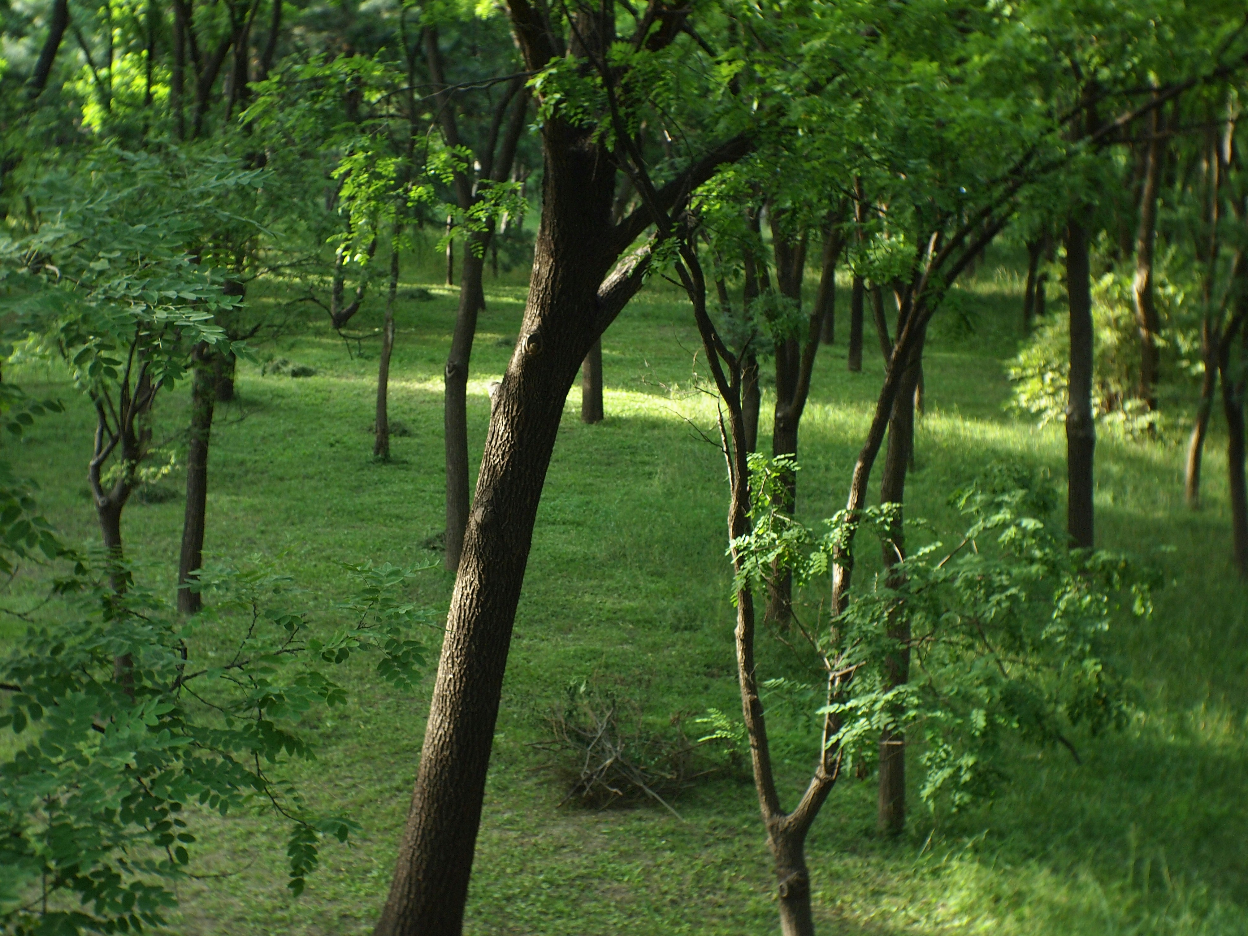 Photo by shawnieyang0606