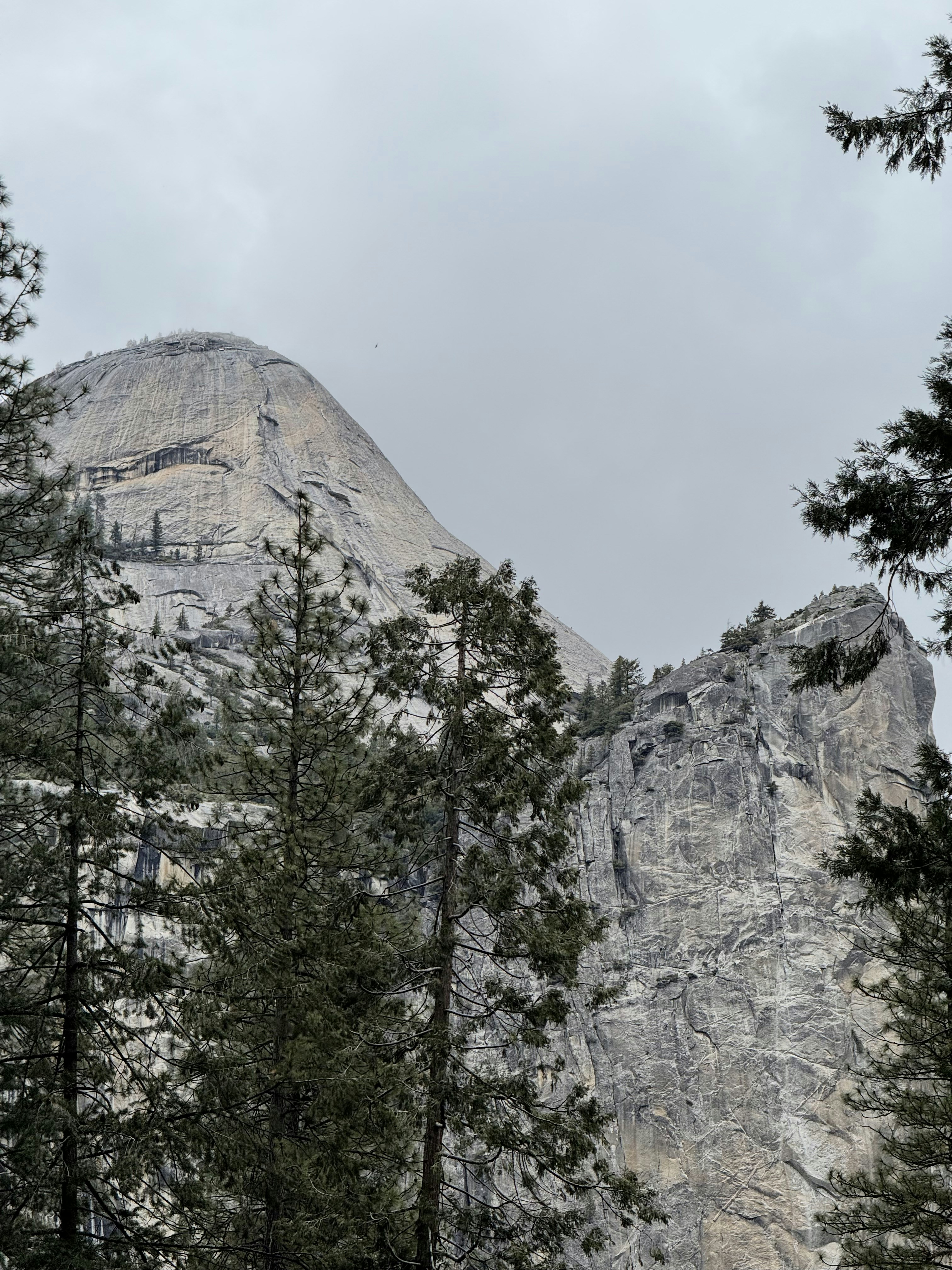 Photo by michaelmartinelli