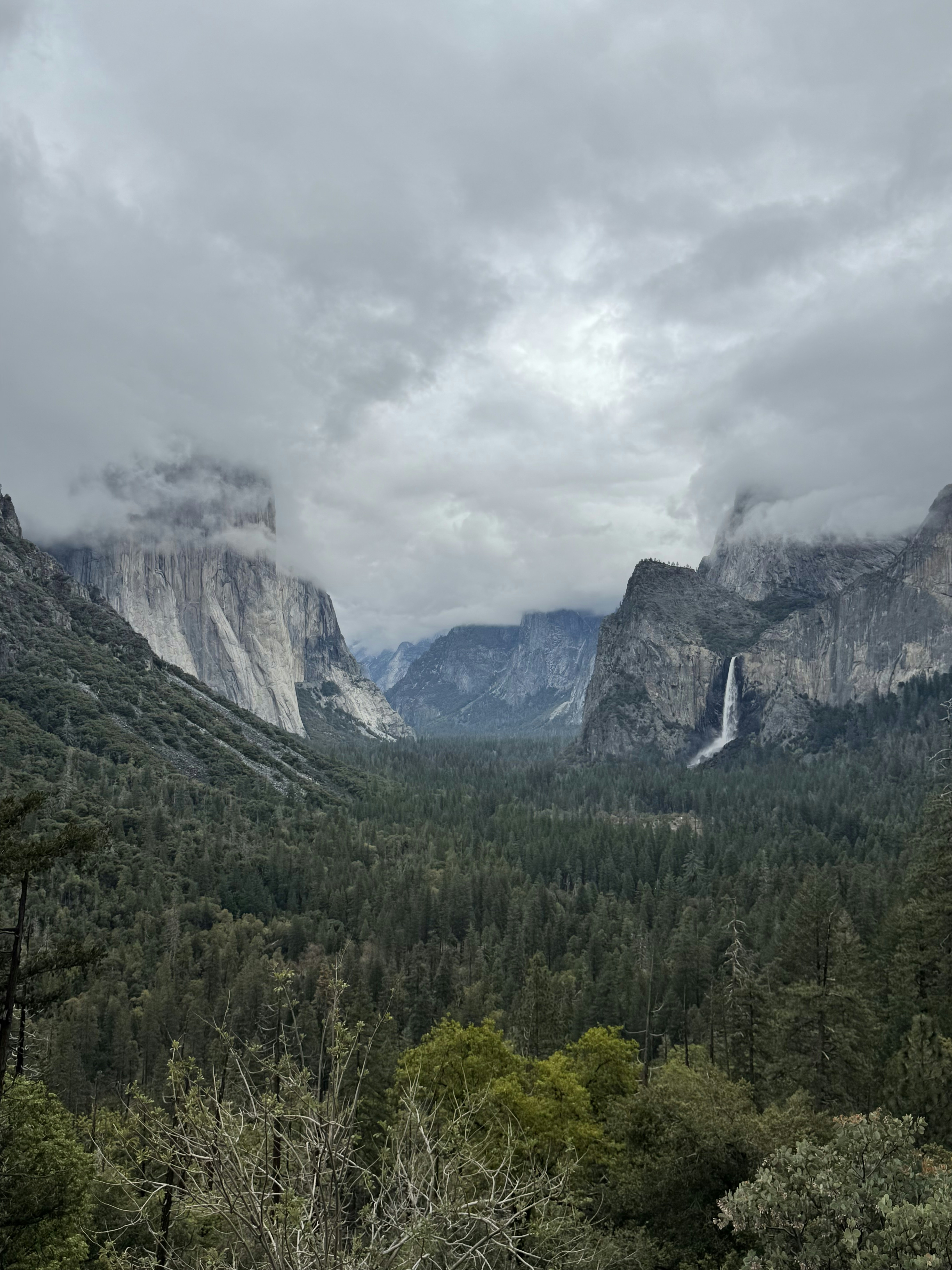 Photo by michaelmartinelli