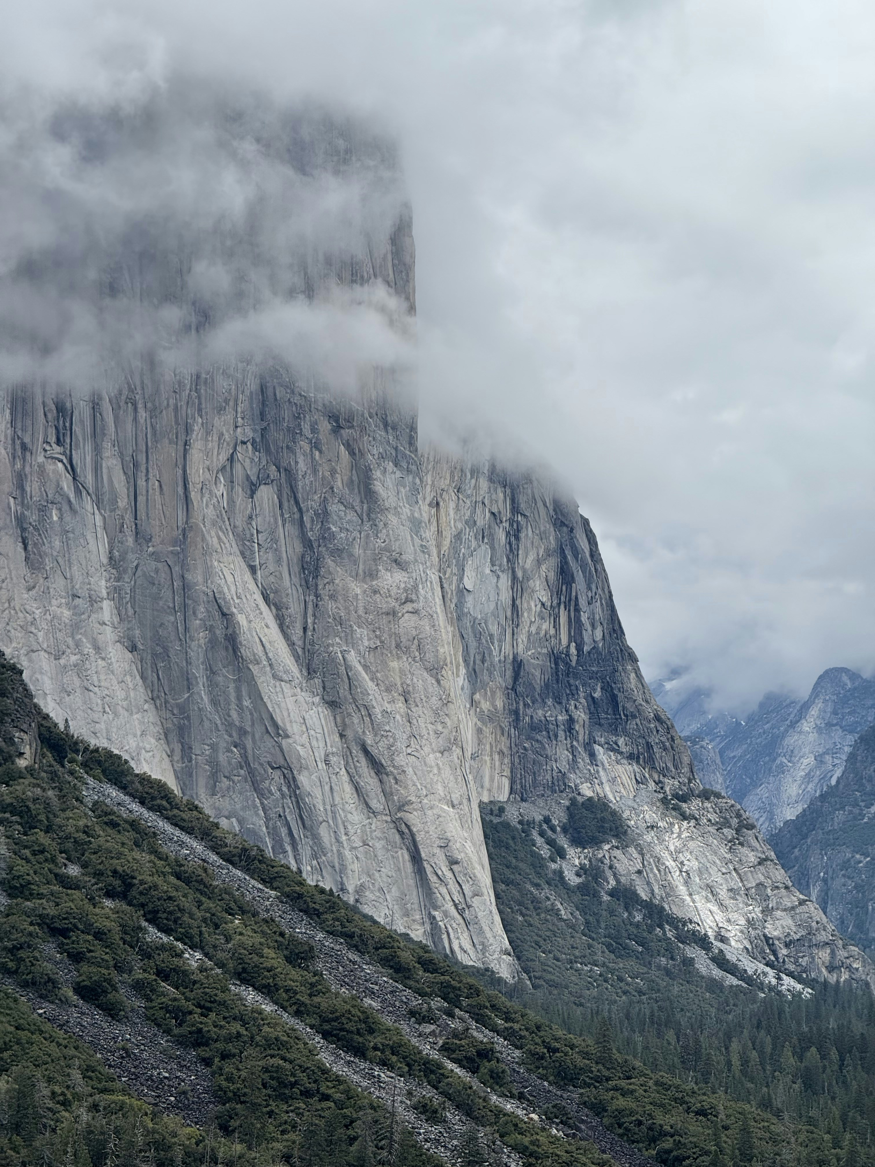 Photo by michaelmartinelli